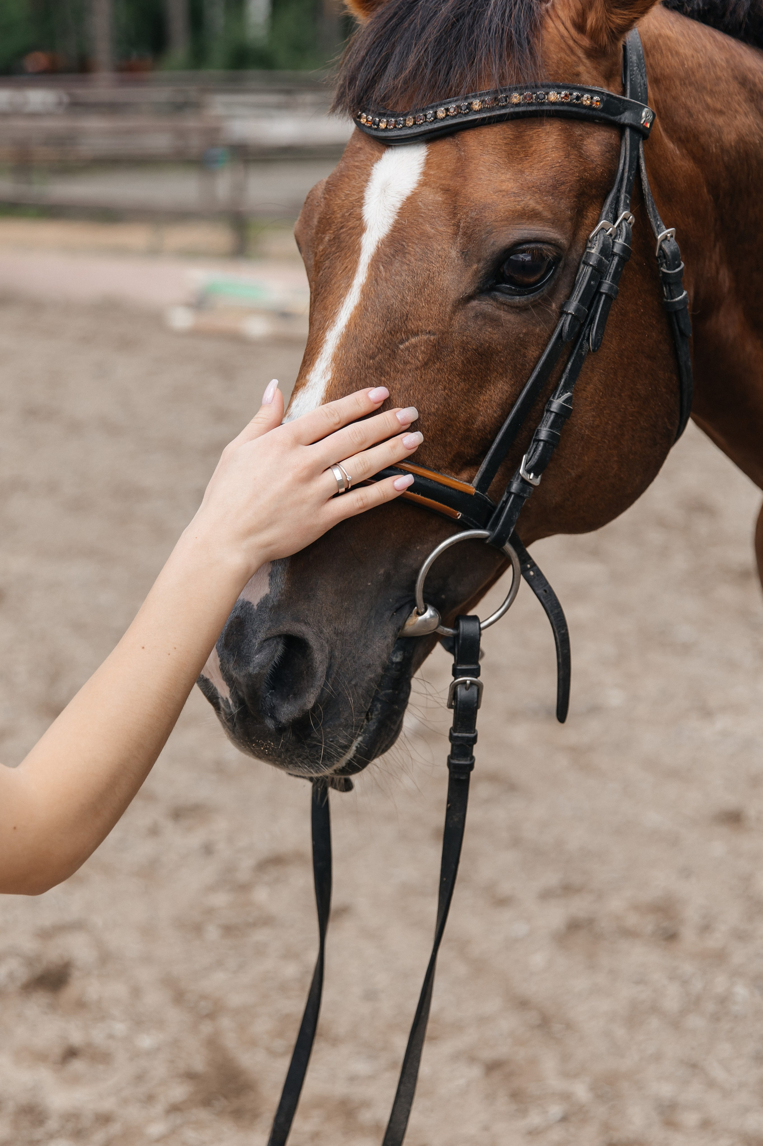 KRISTINA & DMITRIY. Свадебный фотограф | Екатеринбург | Сочи | Артем Шестаков