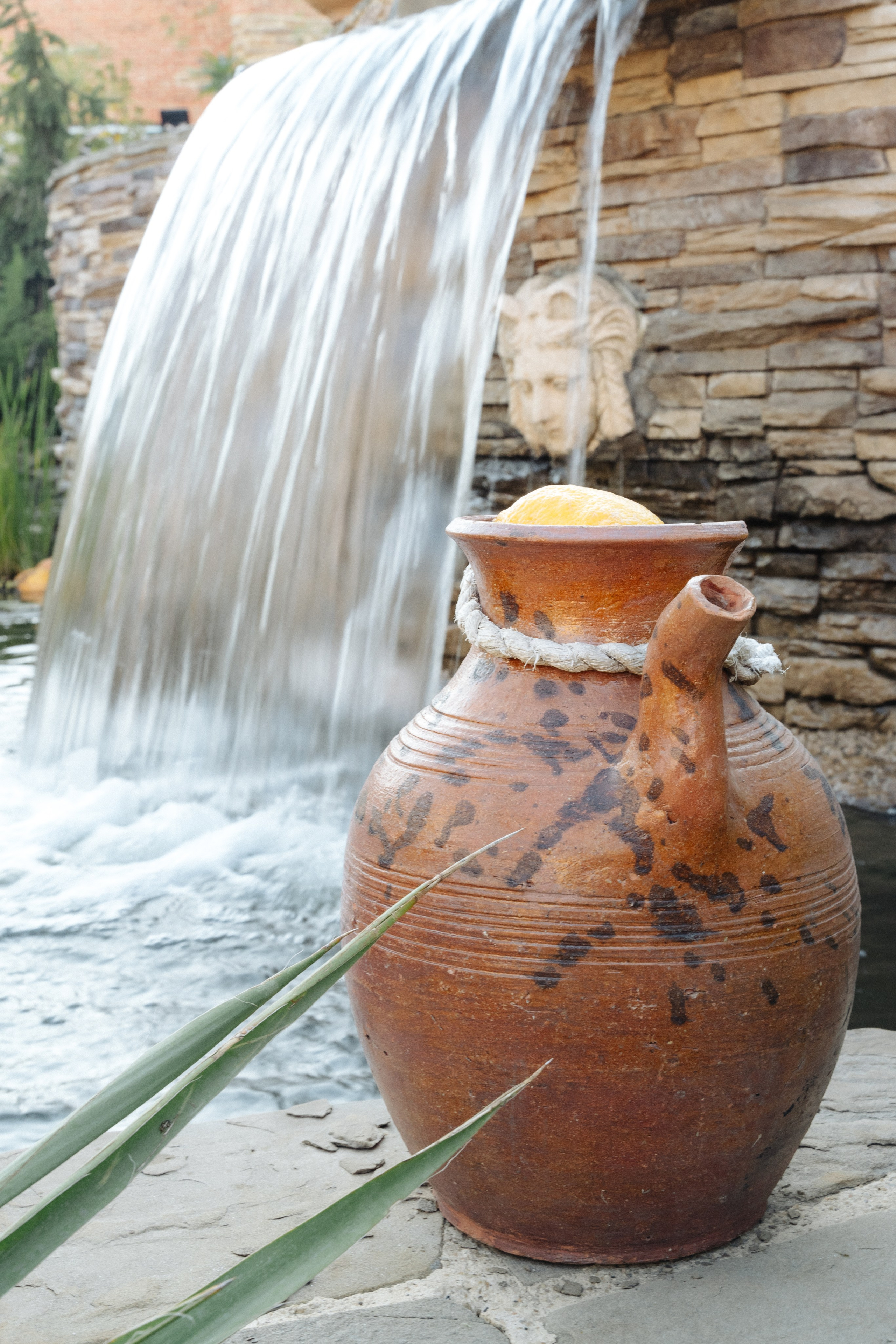 Гастроужин LOVELIFE. Свадебный фотограф  Ростов-на-Дону Моска, Санкт — Петербург