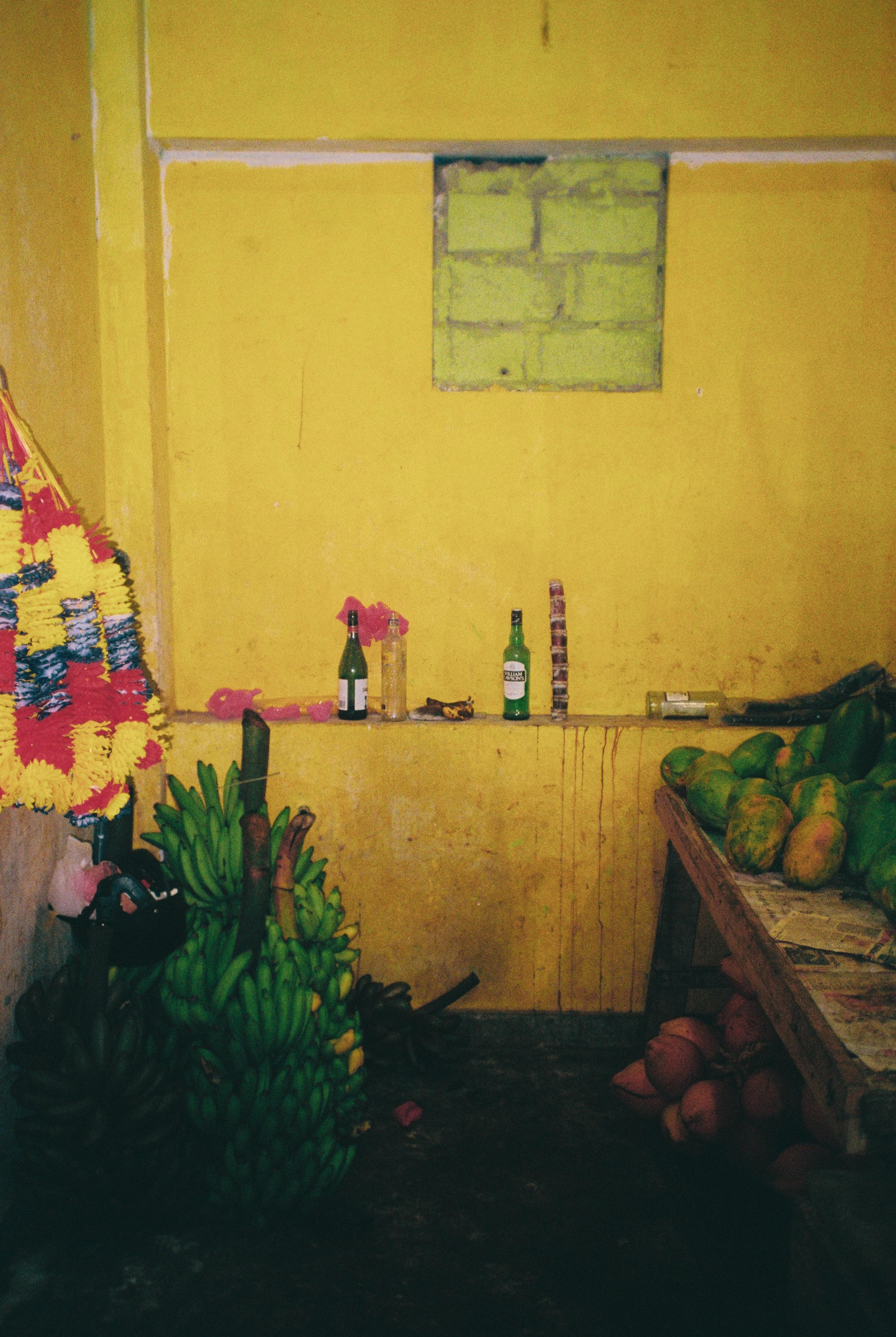 SRI LANKA'. Nik Paustovskiy photography