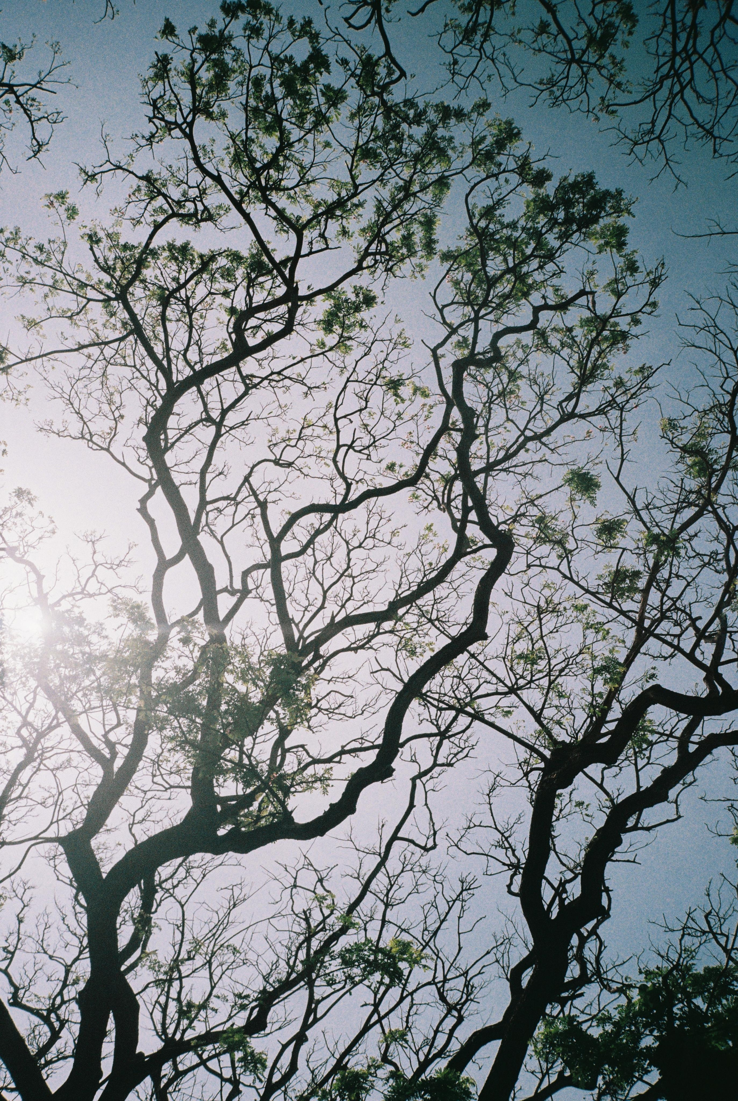 SRI LANKA'. Nik Paustovskiy photography