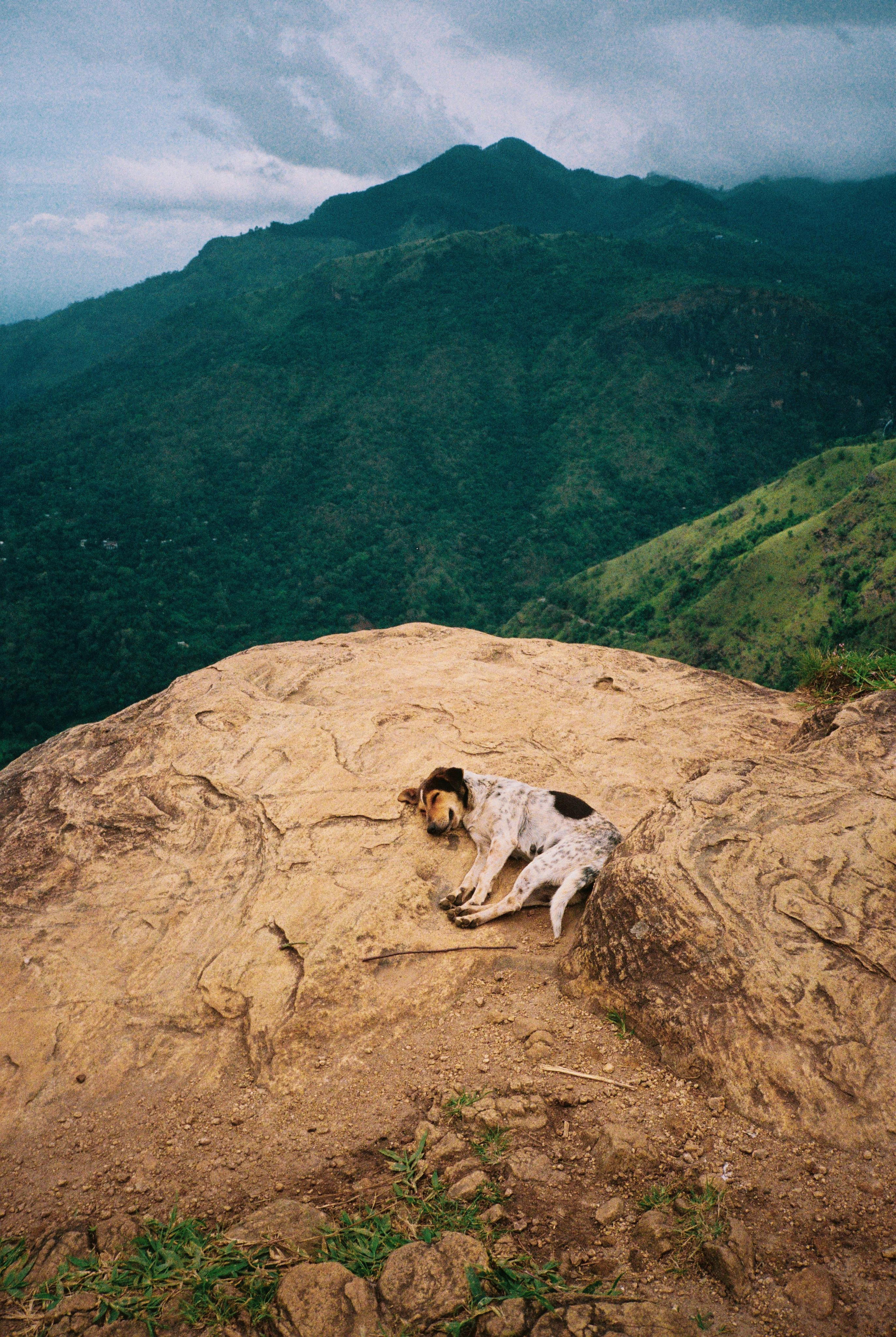 SRI LANKA'. Nik Paustovskiy photography