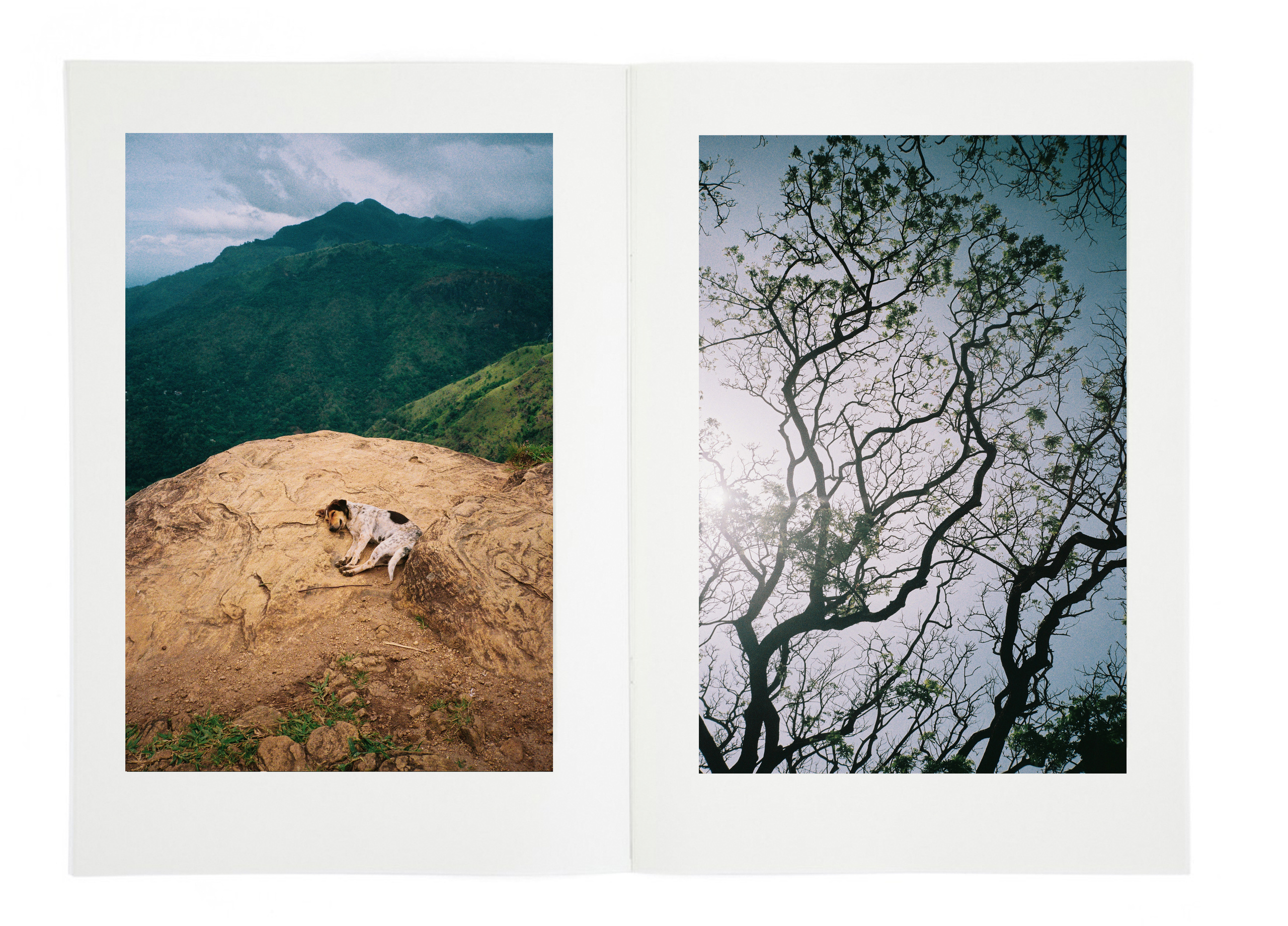 SRI LANKA'. Nik Paustovskiy photography