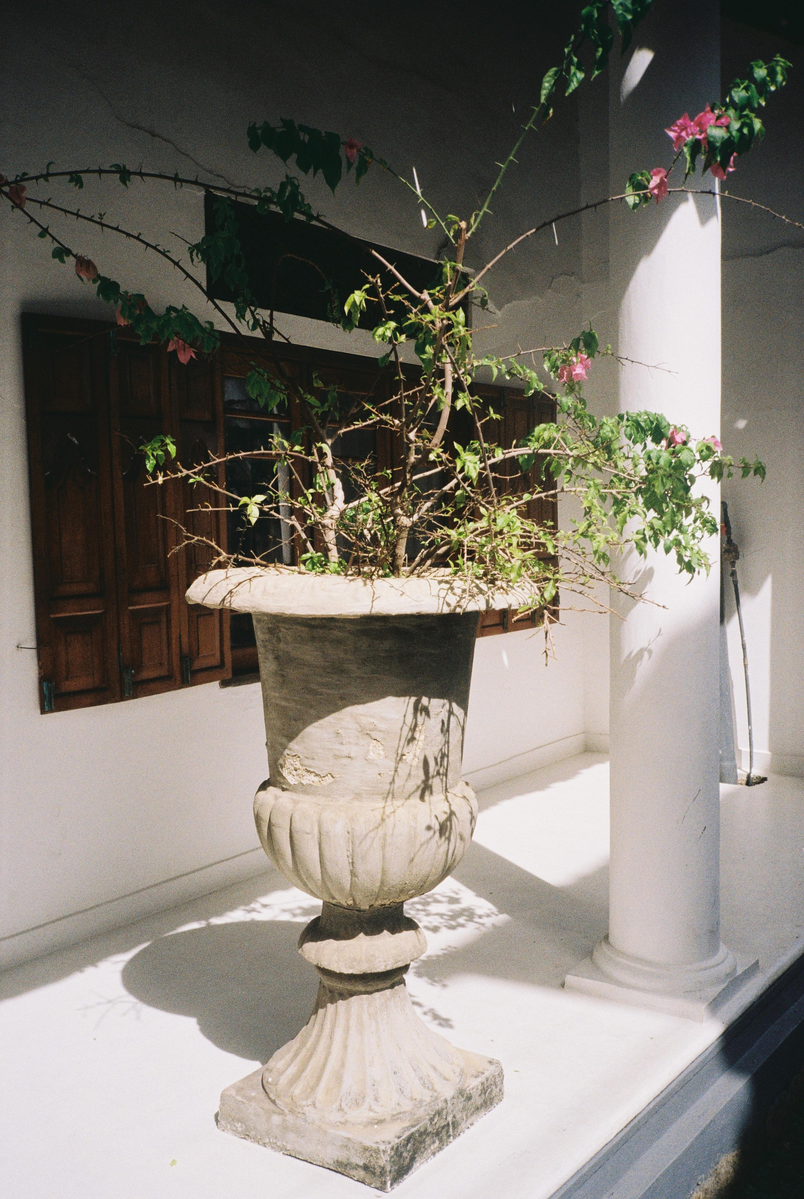 SRI LANKA'. Nik Paustovskiy photography