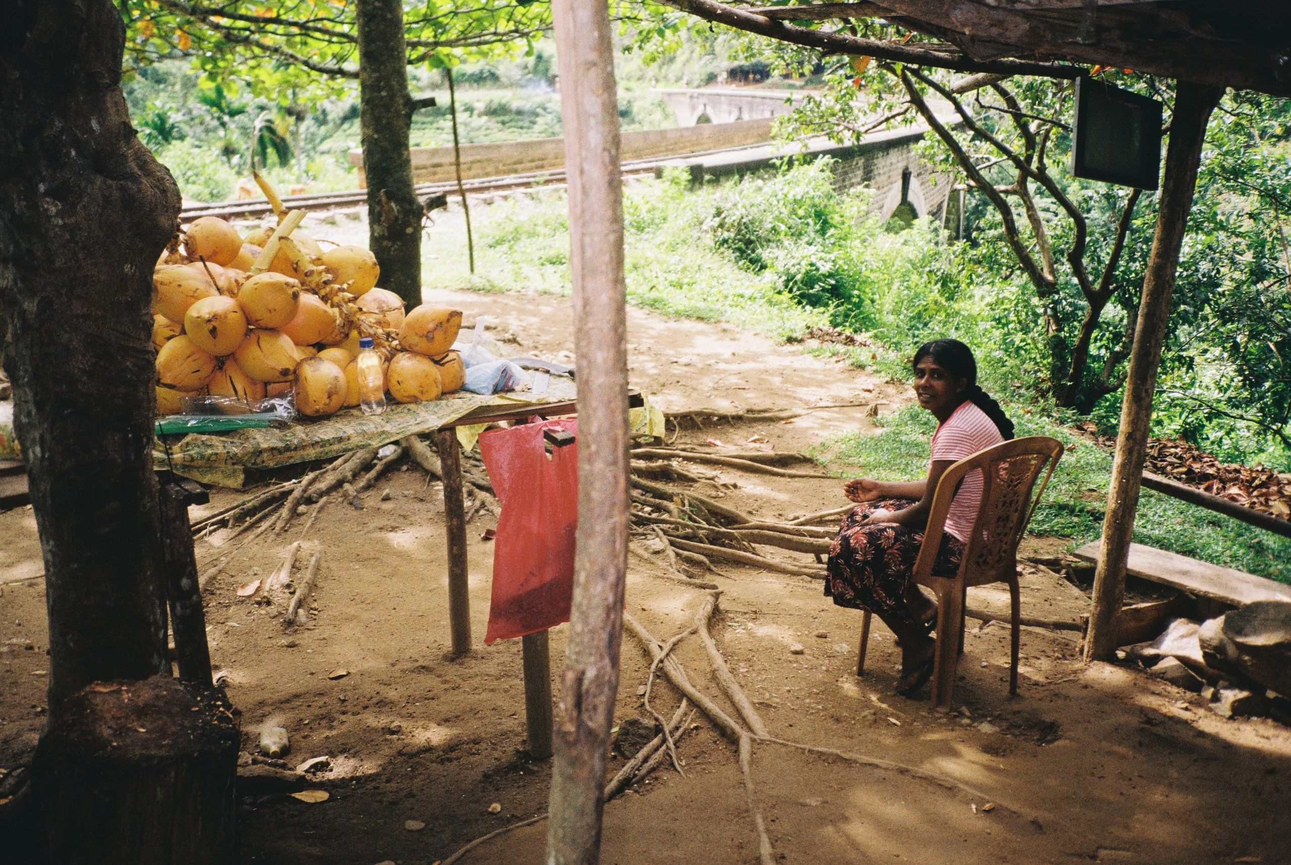 SRI LANKA'. Nik Paustovskiy photography