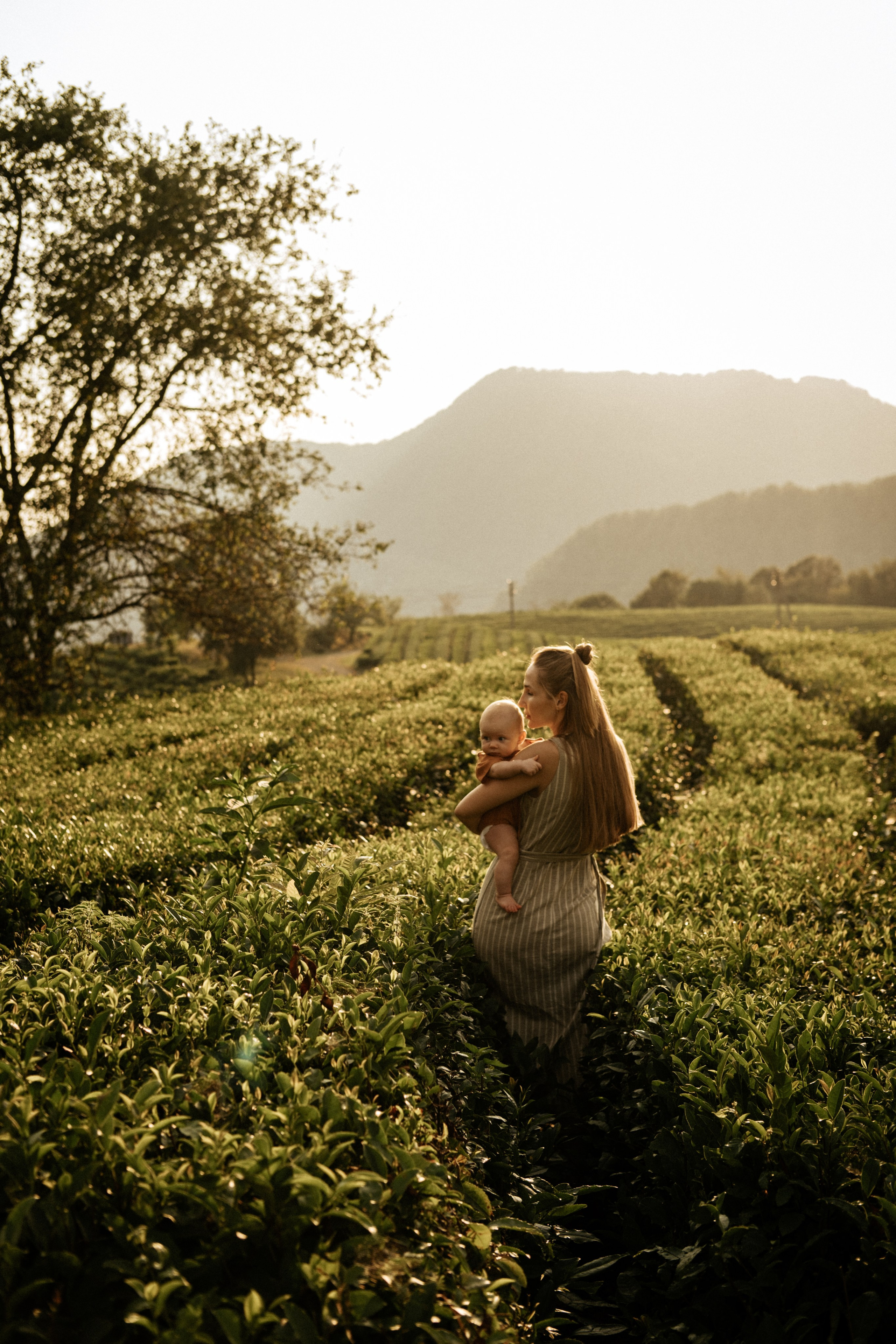 Лиза, Нина, Денис. Главная