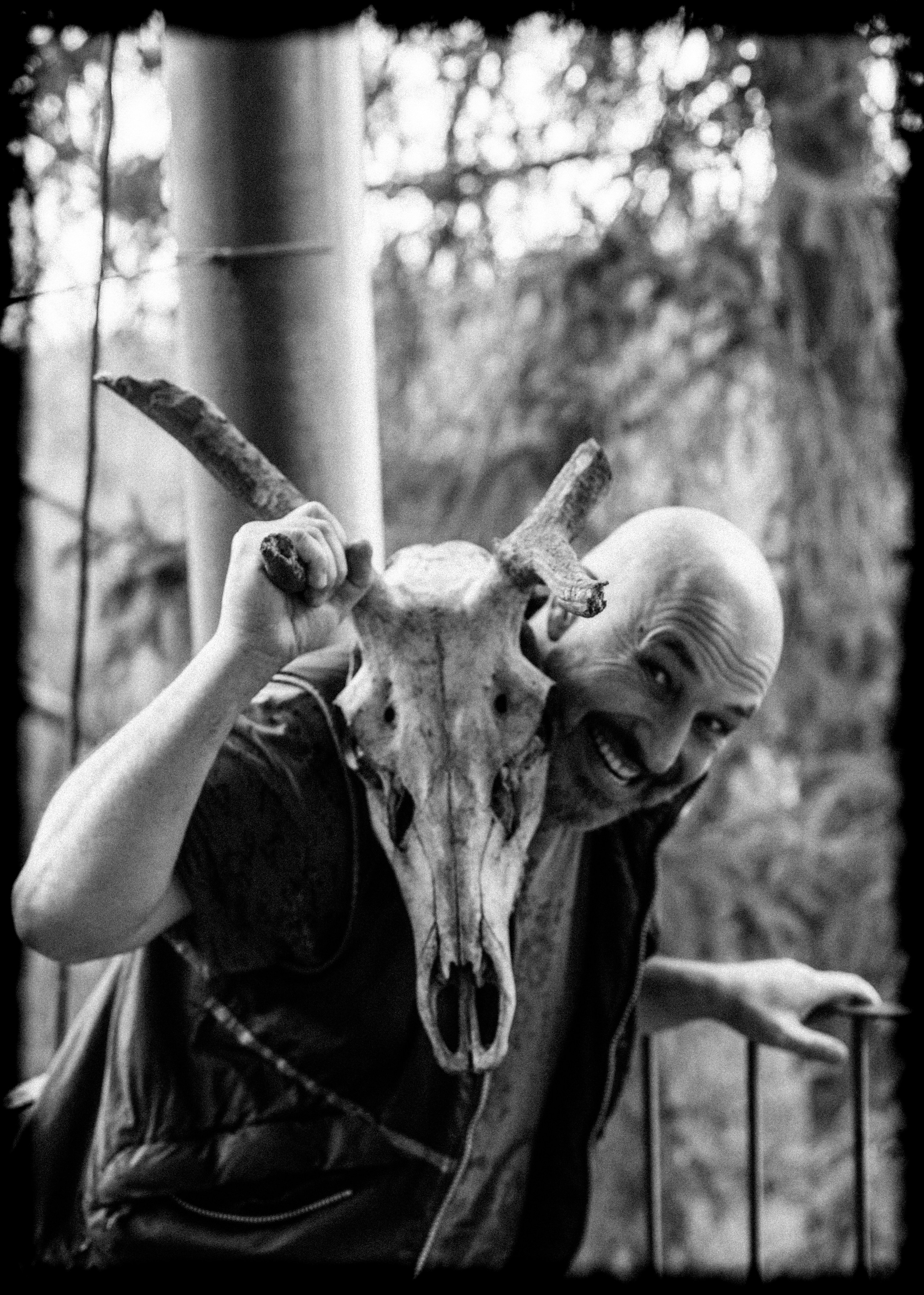 (YarOman) Жизнь в лесу. Фотография, как она есть