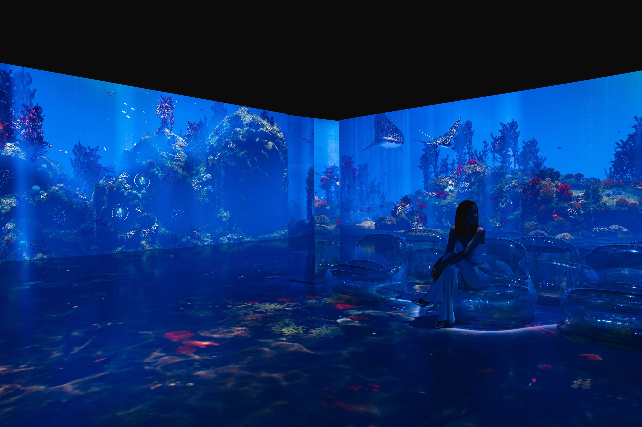 VI Ocean, Tutankhamun, SILA SVETA. @tomrus: Рустам Шагиморданов — фотограф