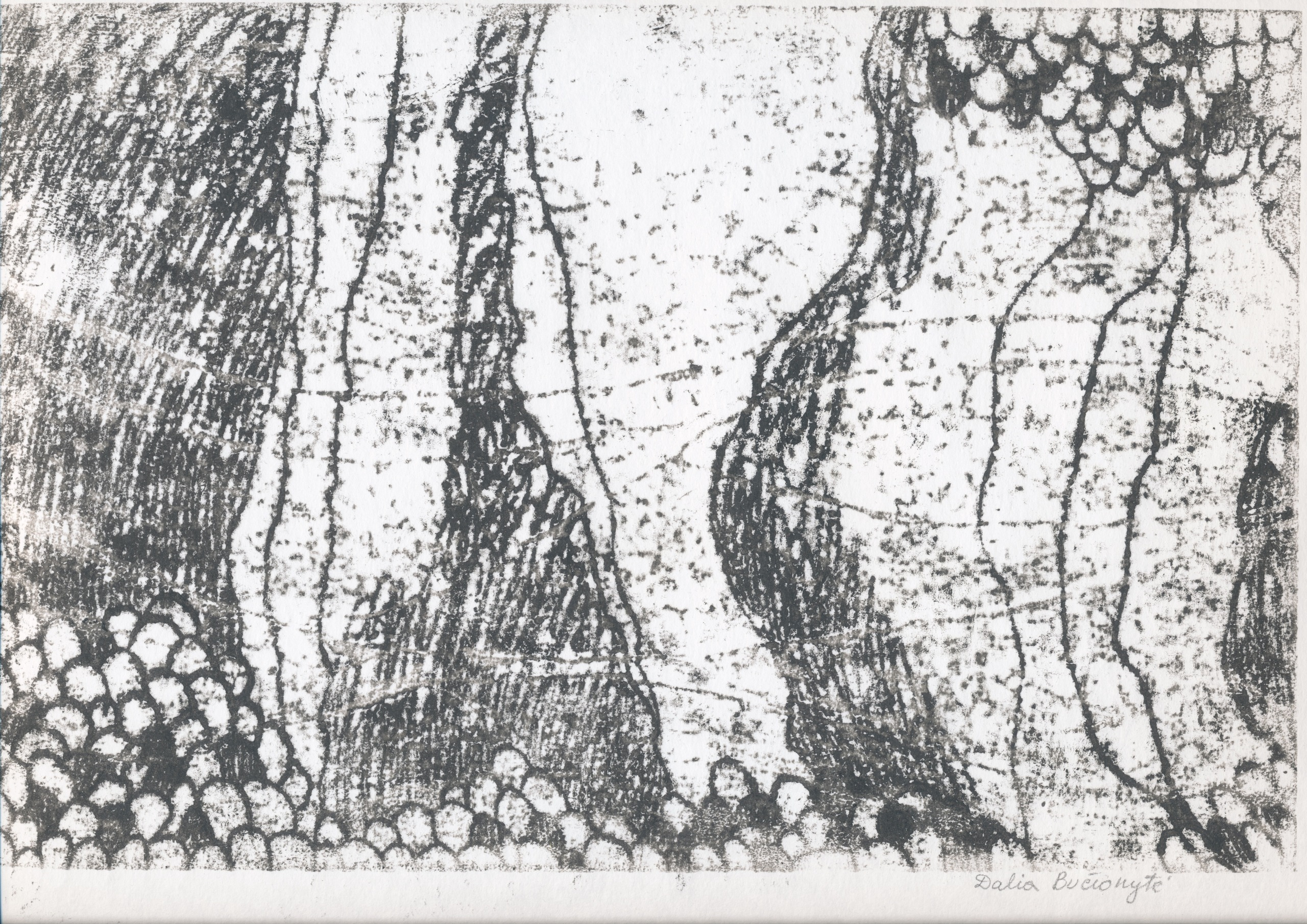 Путешествие в зазеркалье. Художник Даля Бучионите