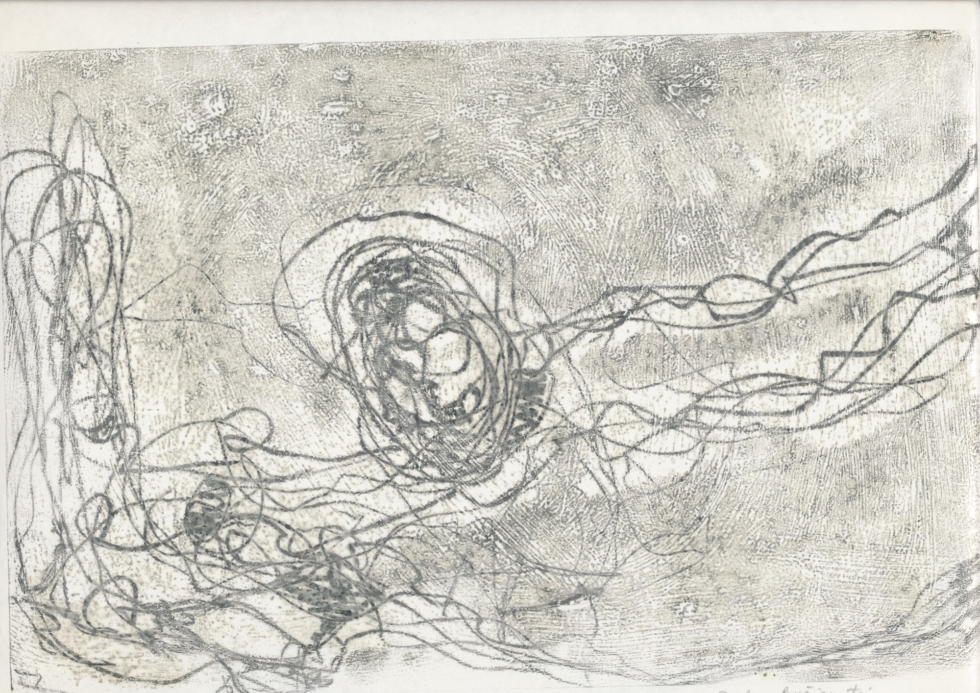 Путешествие в зазеркалье. Художник Даля Бучионите