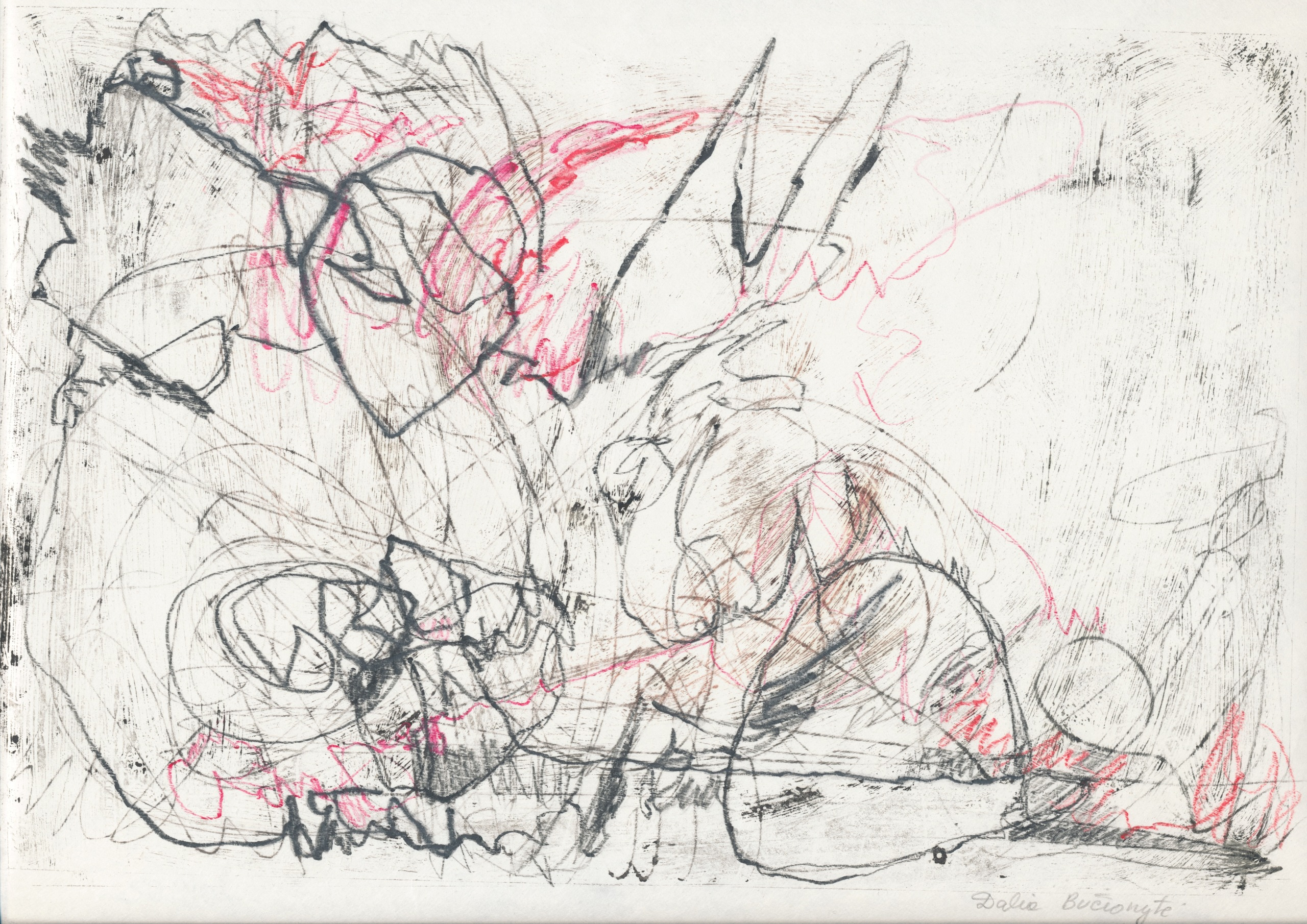 Путешествие в зазеркалье. Художник Даля Бучионите