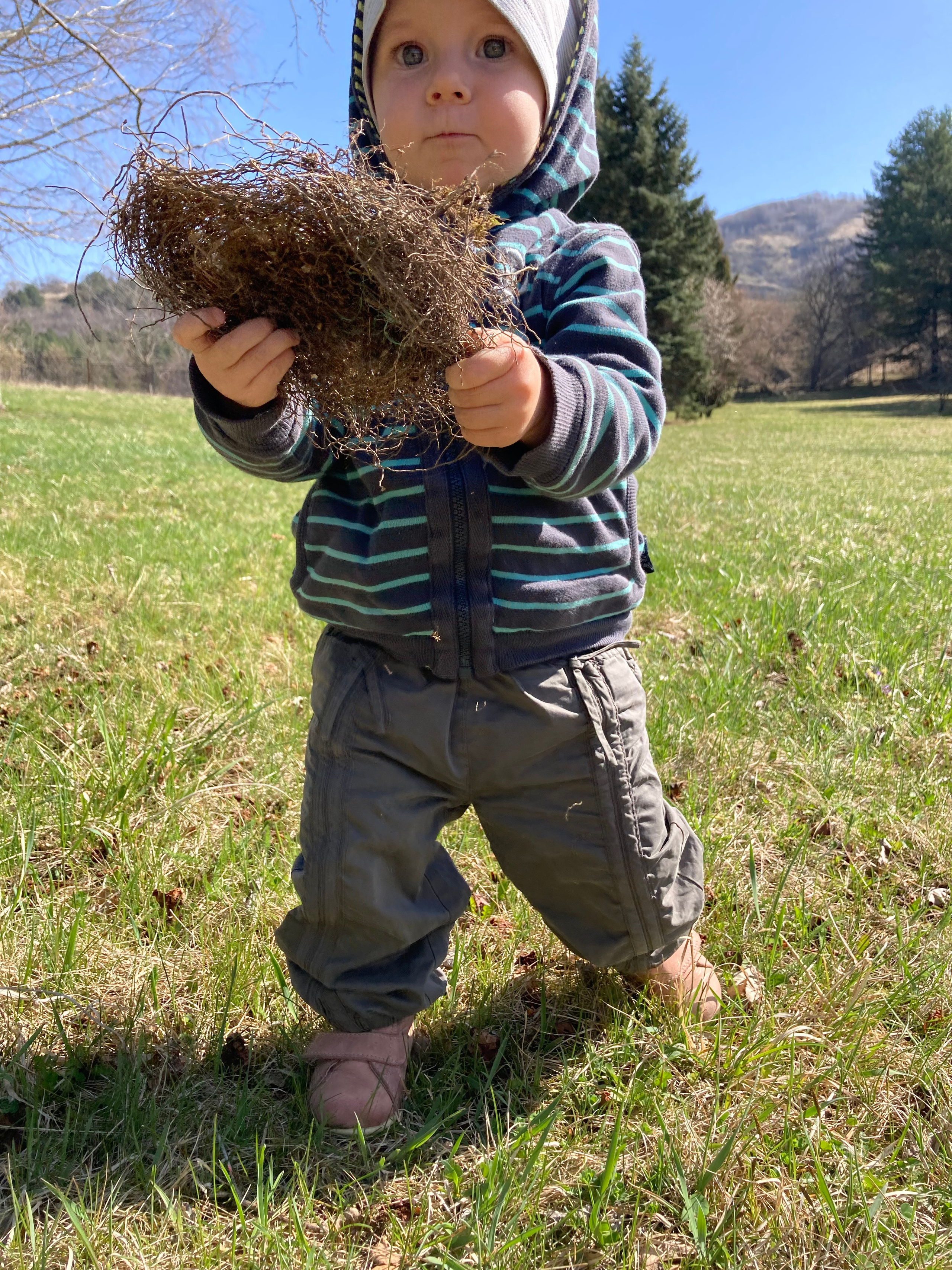 Дети. Смотри, красота!
