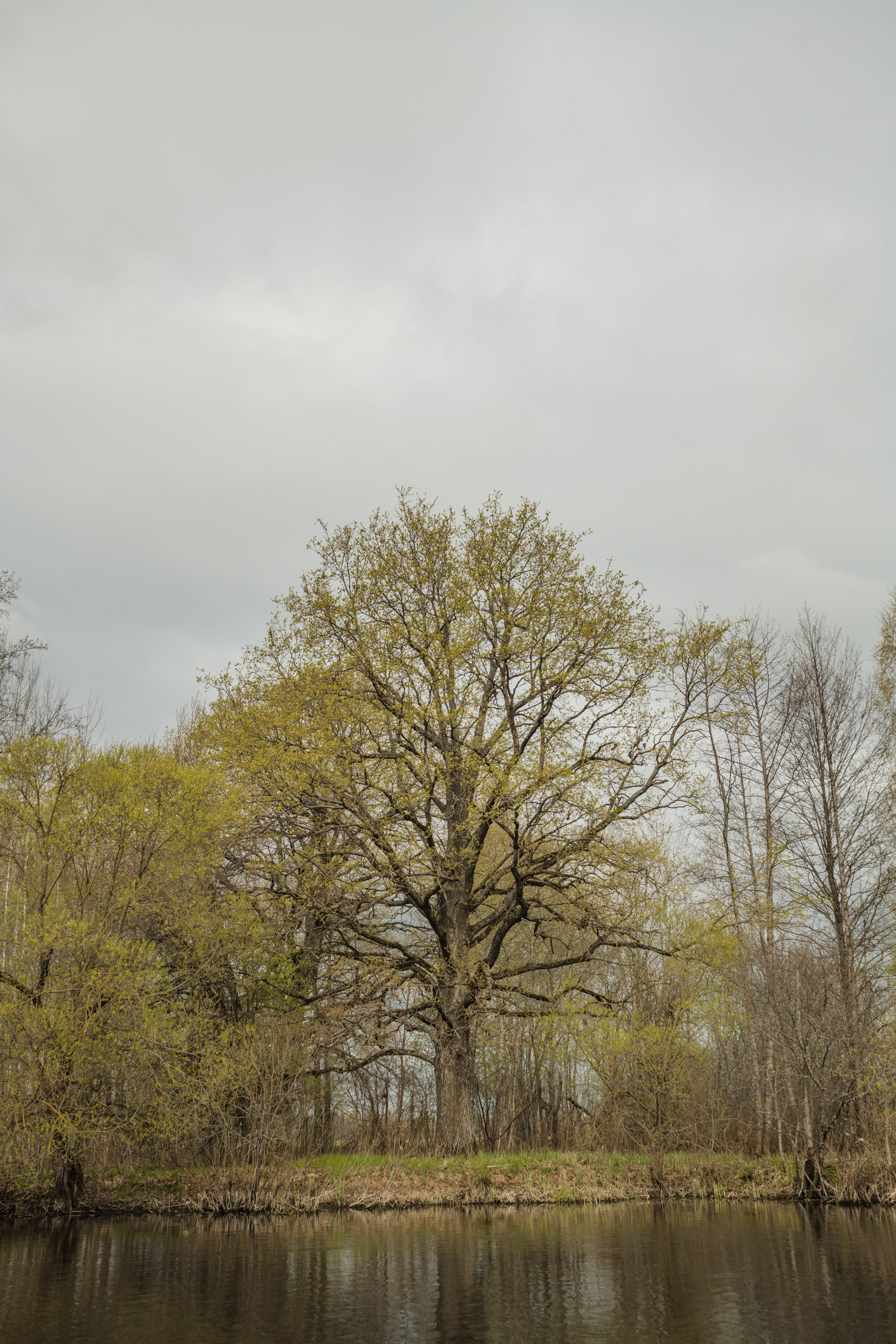 Водный поход 1-й кс по реке Случь. Репортажный фотограф Владимир Беляй