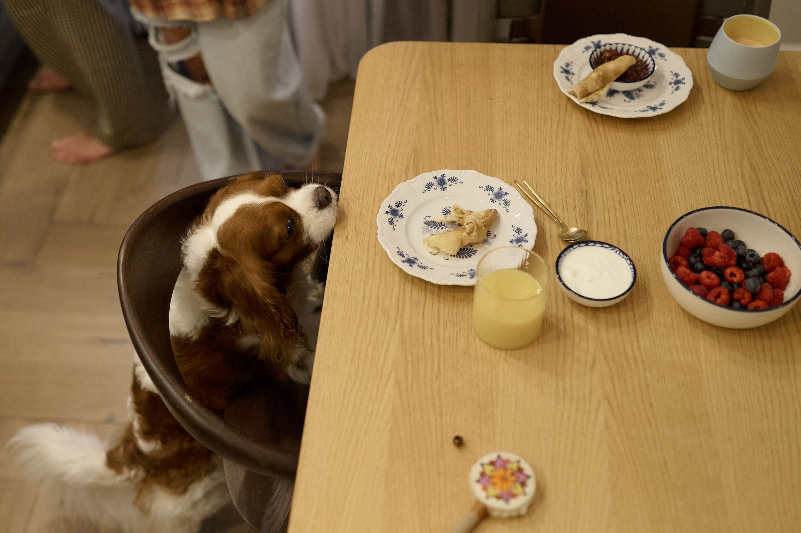 Серёжа, Вика, Макар и Кэш. Семейный и свадебный lifestyle-фотограф в Москве Мария Петрова