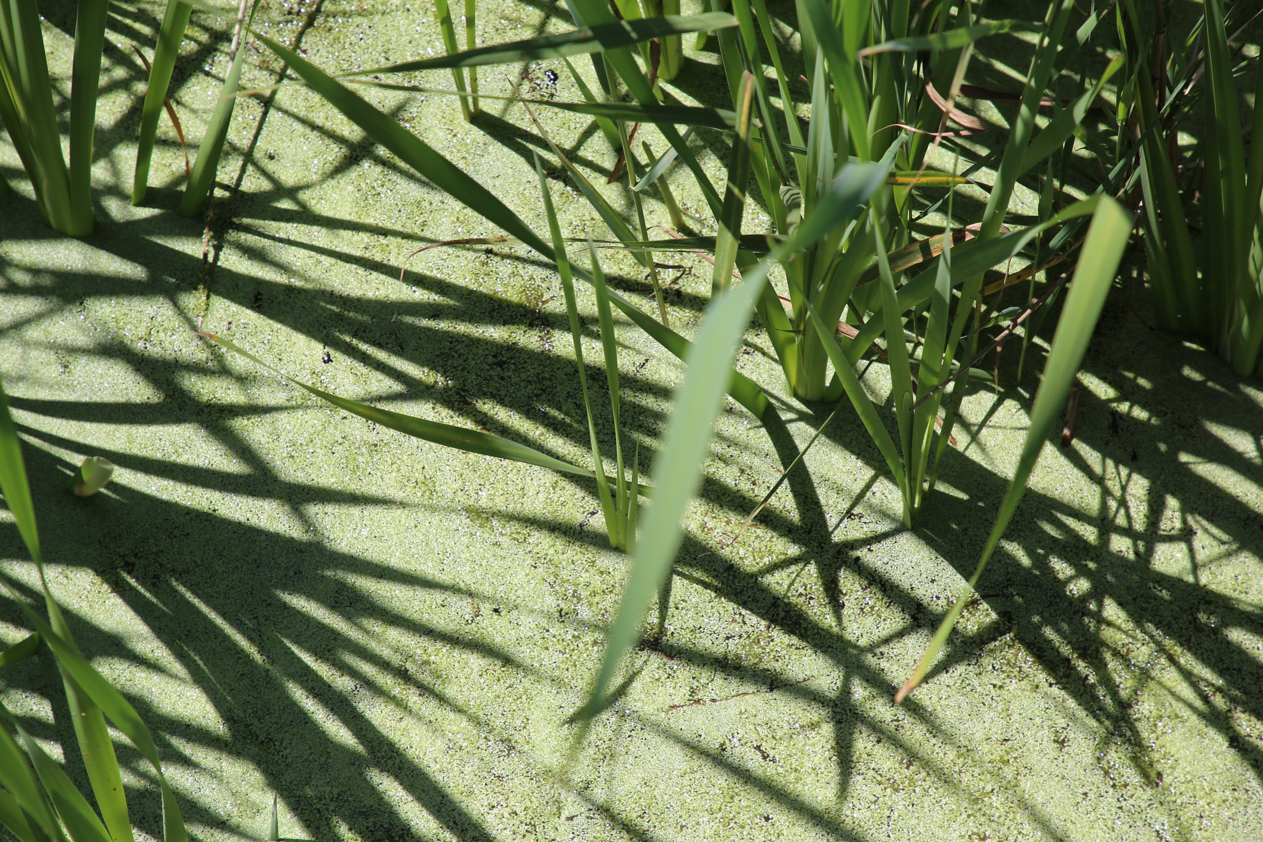 Esmoriz, Portugal. Andrey Filippov Photographer