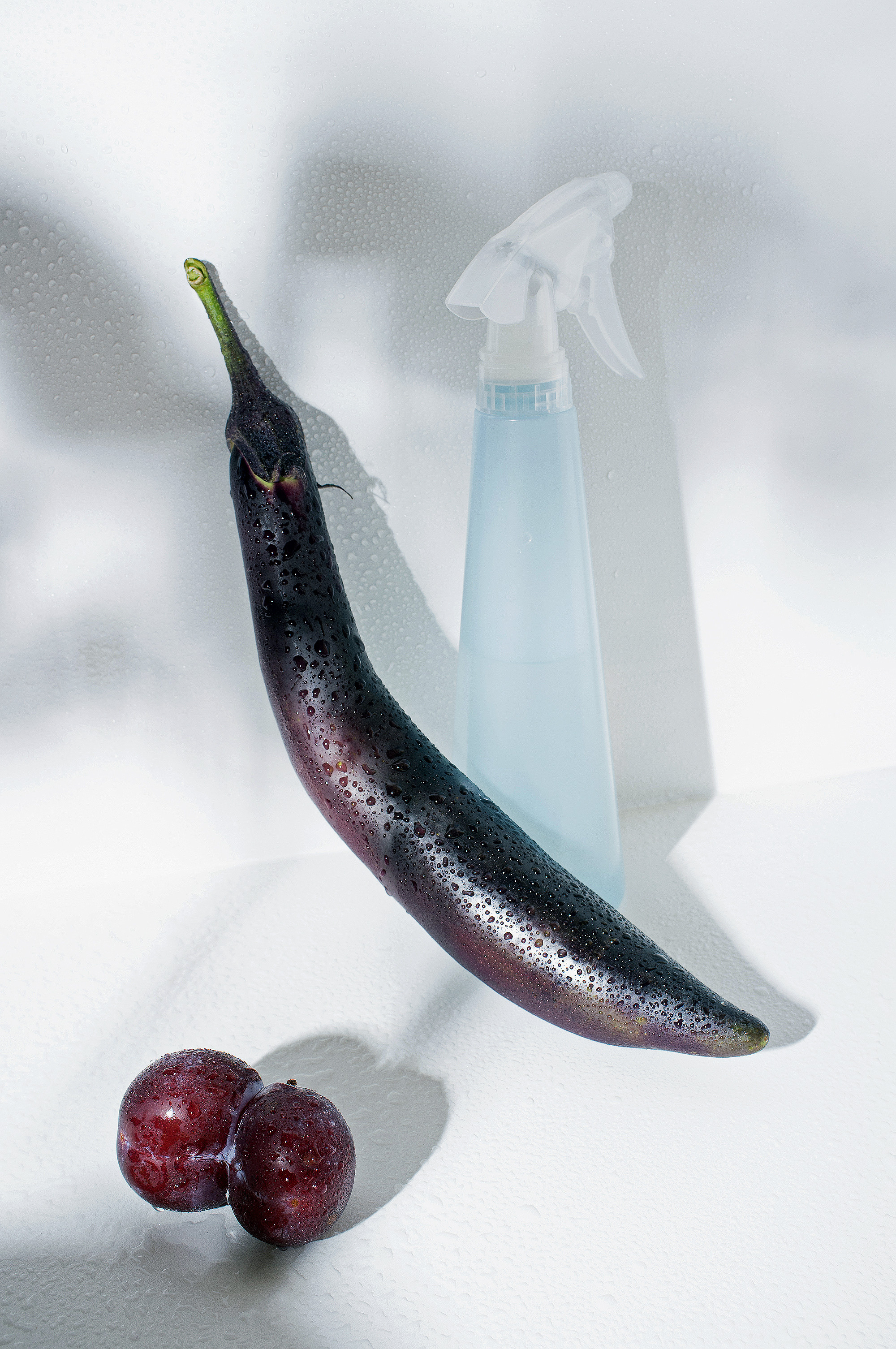 Still Lifes. Стас Понятовский