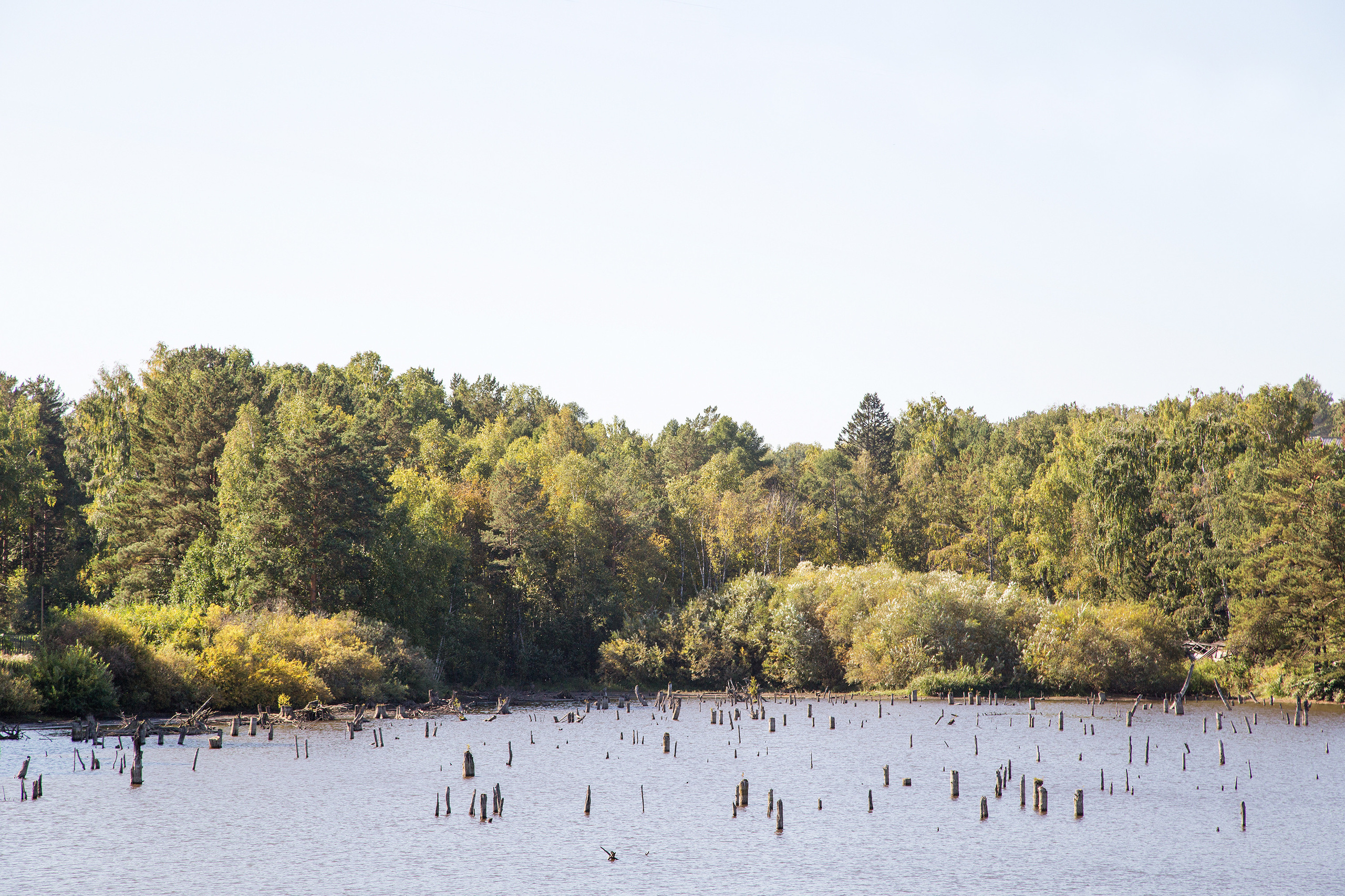 Стас Понятовский
