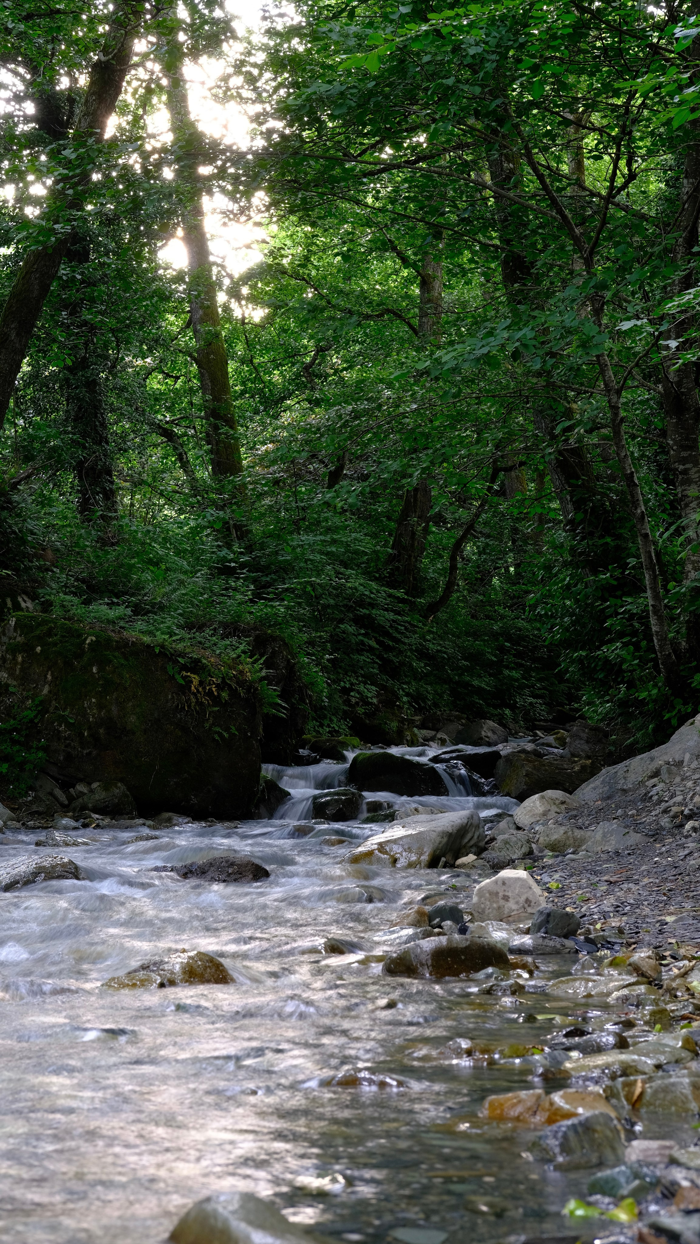 Сочи. Фотограф Сергей Красников