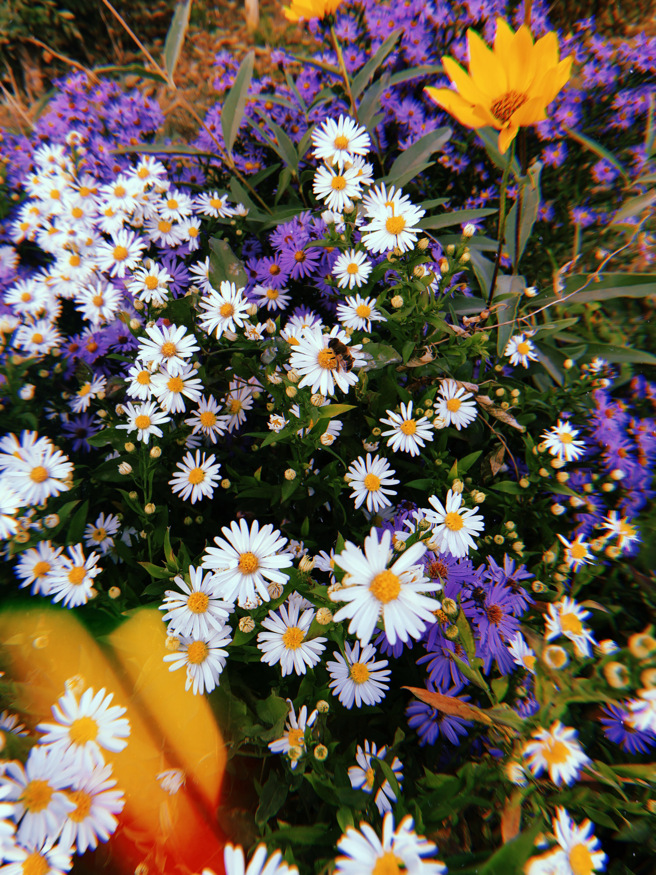 Визуальный дневник. Портретный фотограф в Москве Гахраманова Екатерина