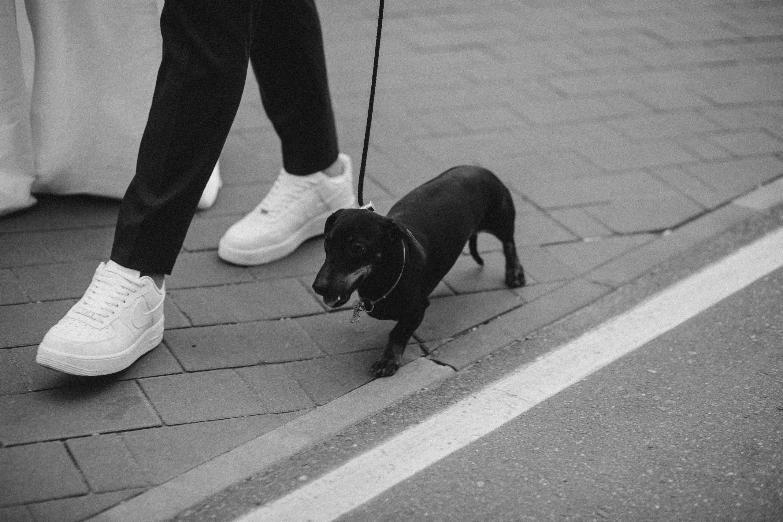 Алексей и Анна