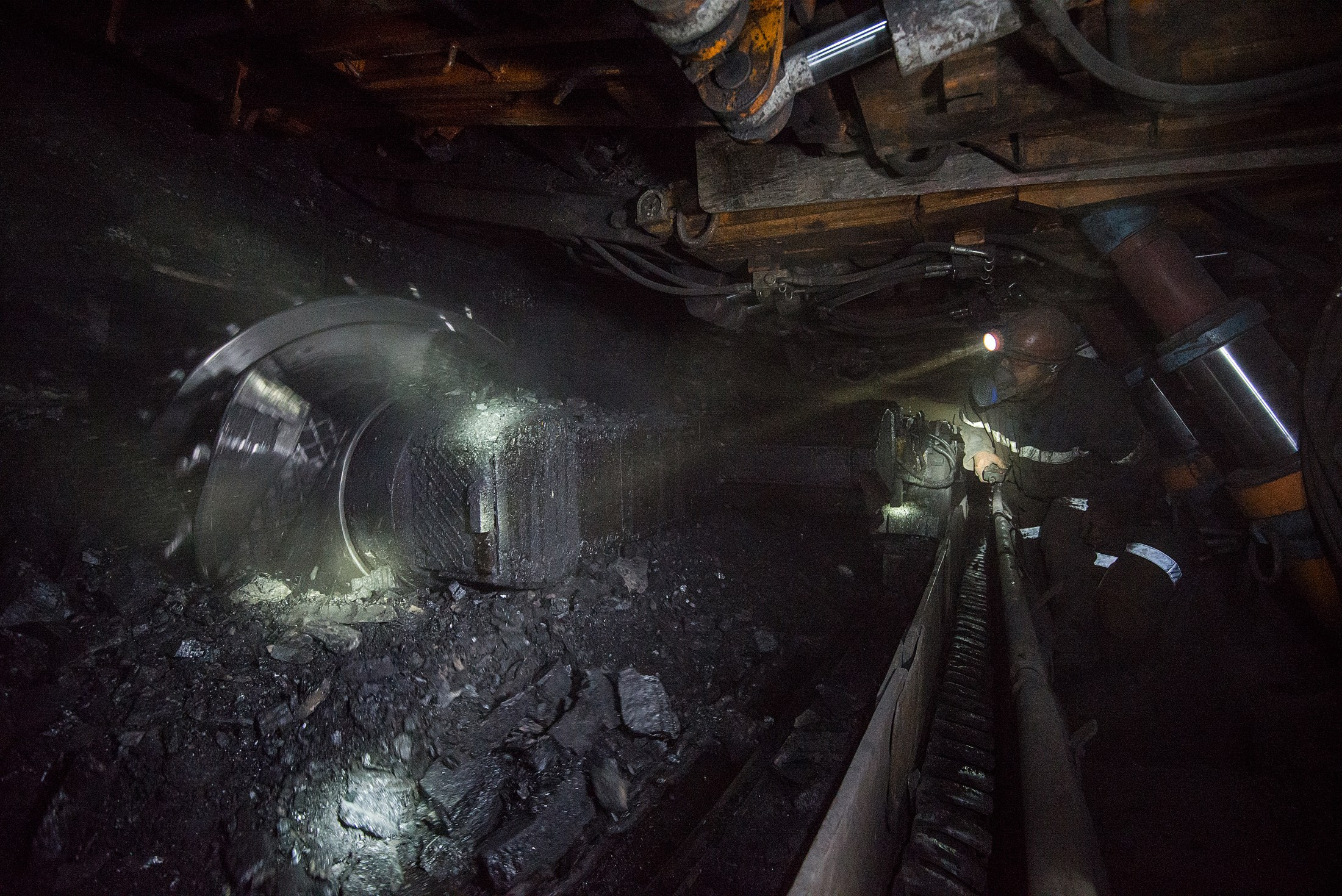 Для СМИ. Фотограф в Калининграде Сулейманов Амирхан