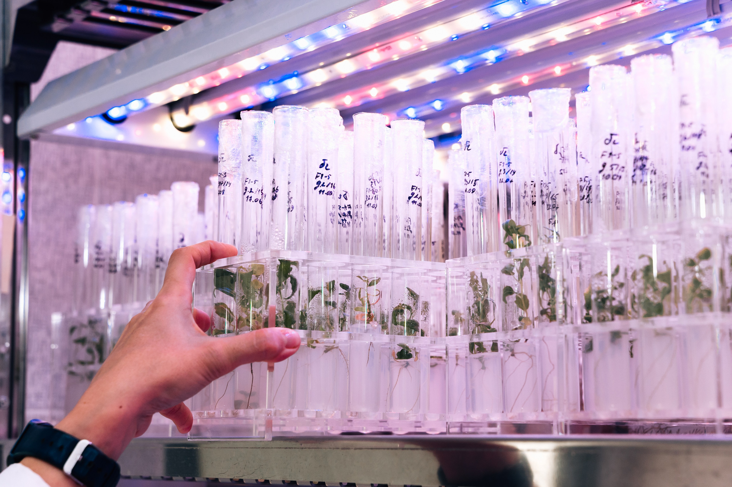 Международная конференция РАН