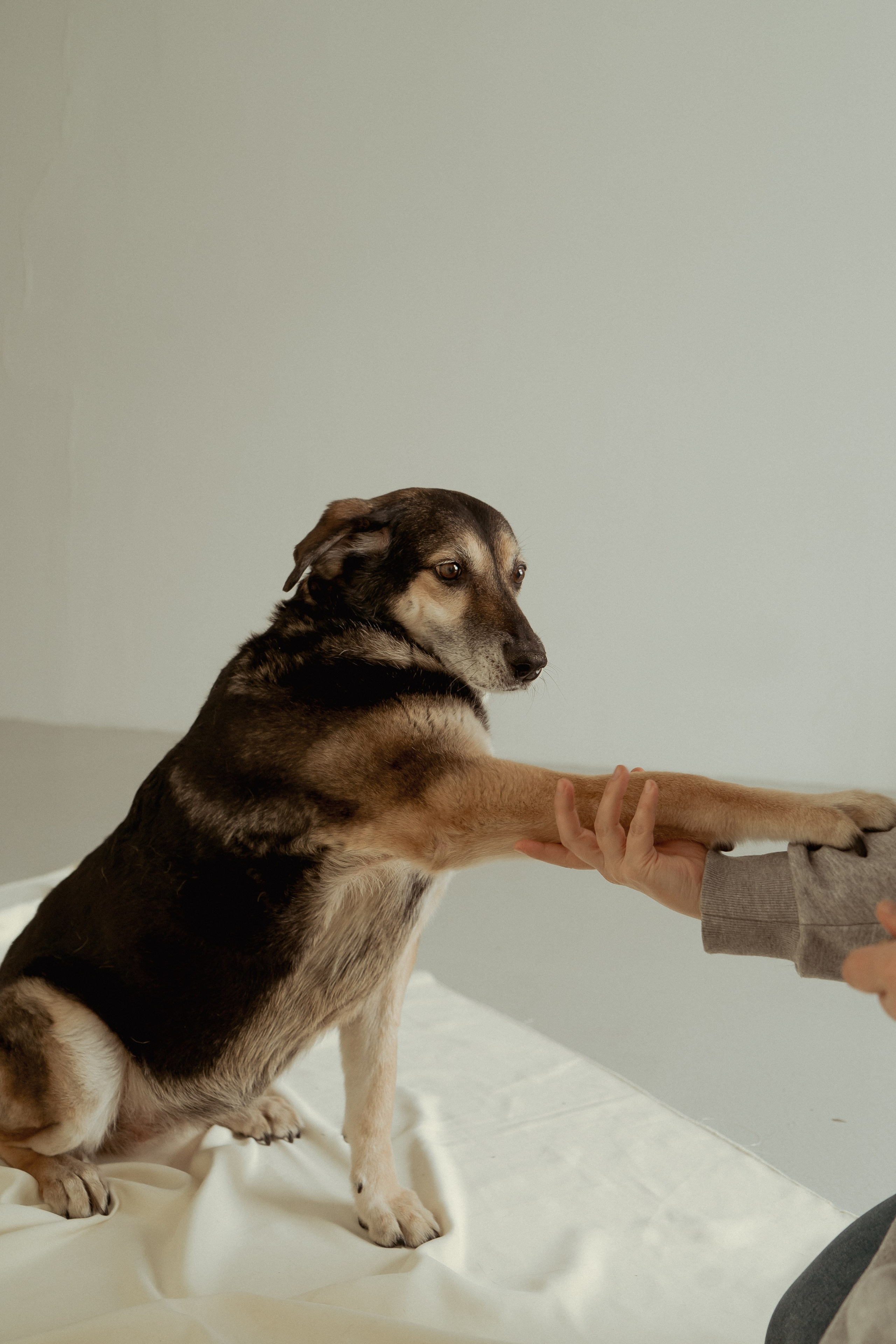 Марина и Жужа. Портретный и семейный фотограф Ксения Казанцева