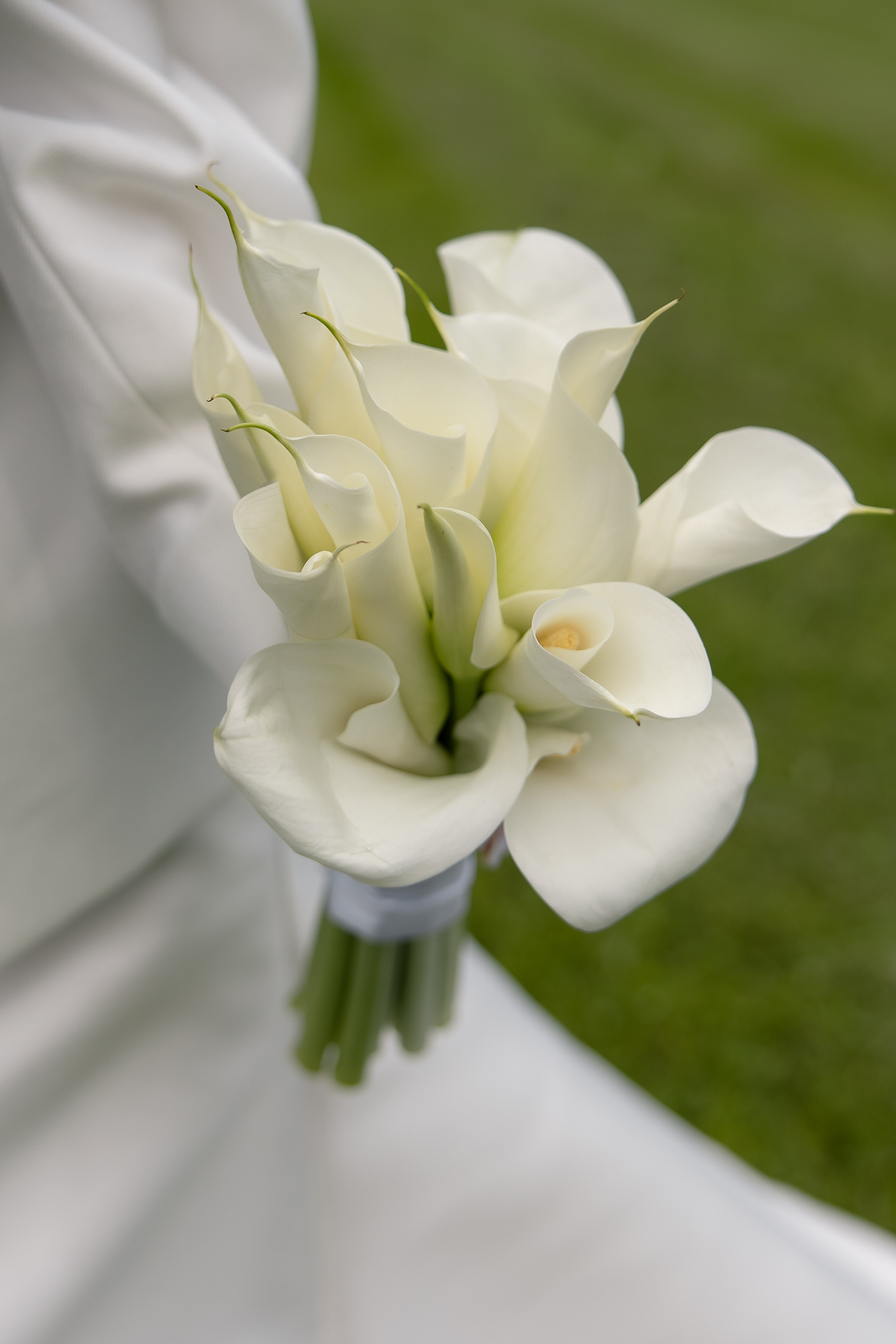 Глеб и Алина. Свадебный и семейный фотограф в Новосибирске Наталья Зорина