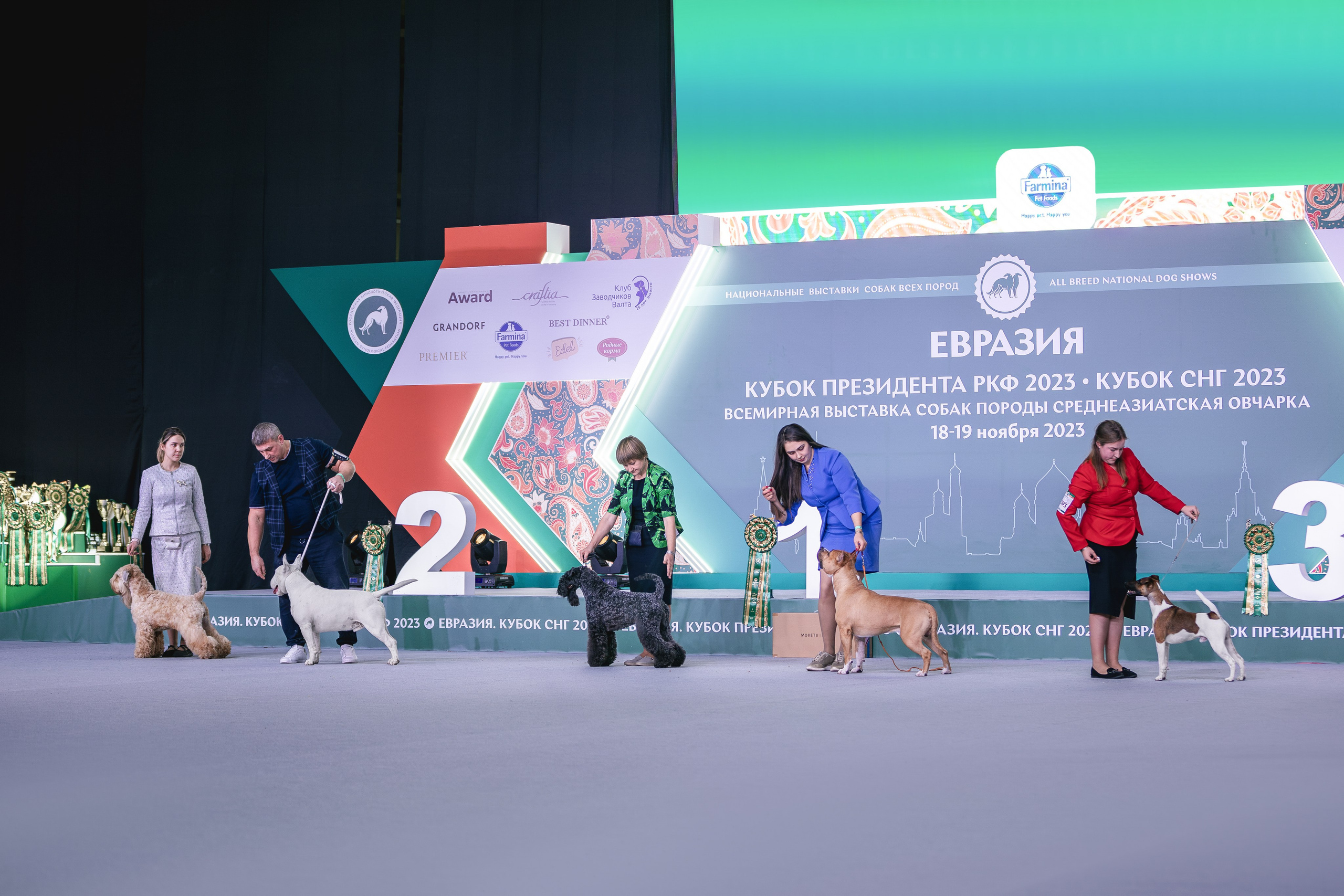 Евразия 2023. Фотограф анималист в Москве Майорова Евгения