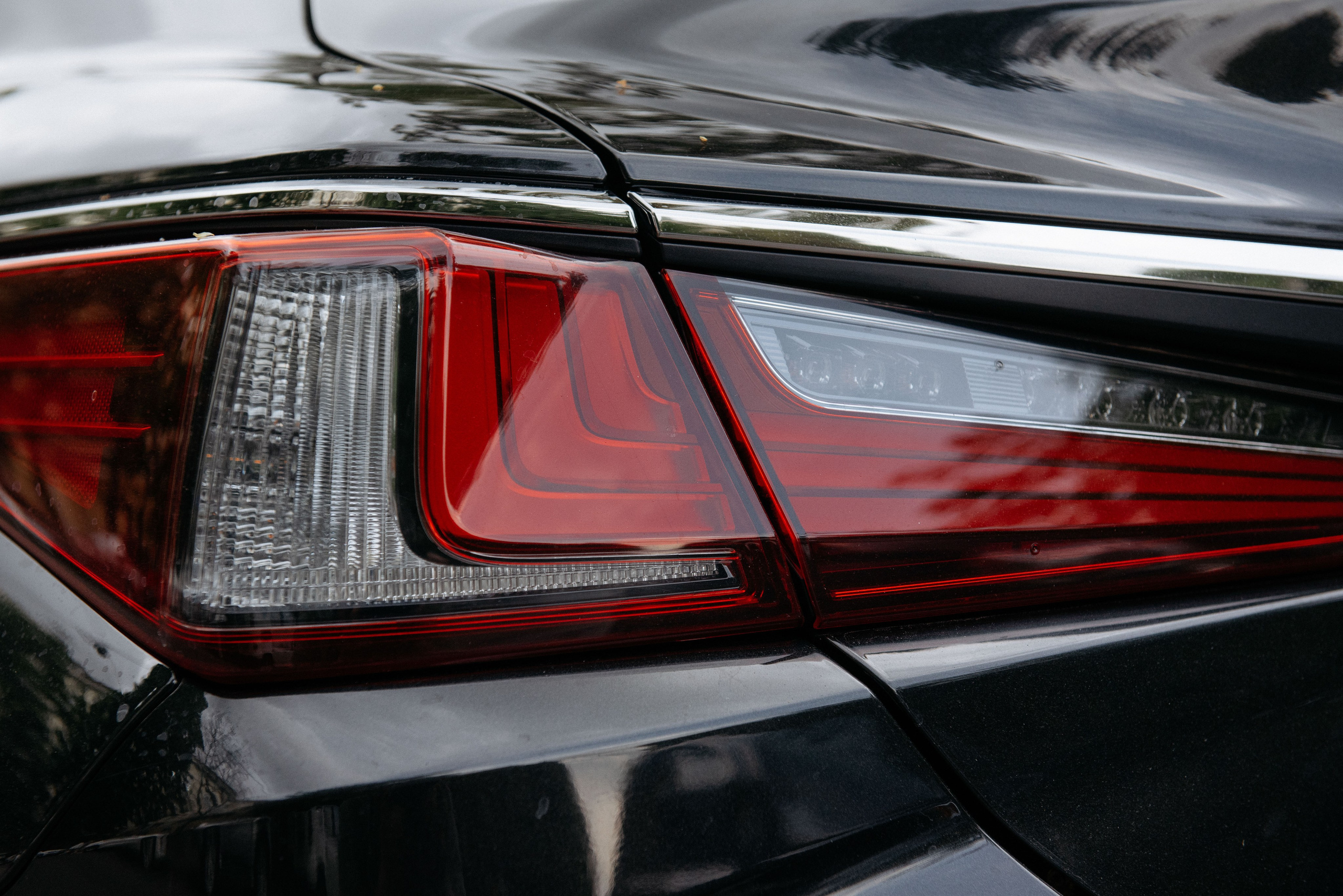 Виталий и Ангелина. Свадебный фотограф — фотограф на свадьбу в Воронеже — Свадебное фото