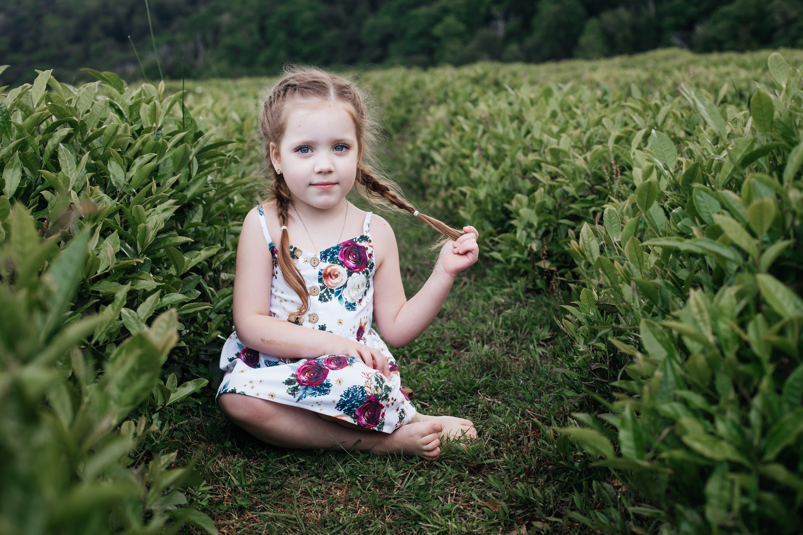 Tea plantation. Efimova Model Agency