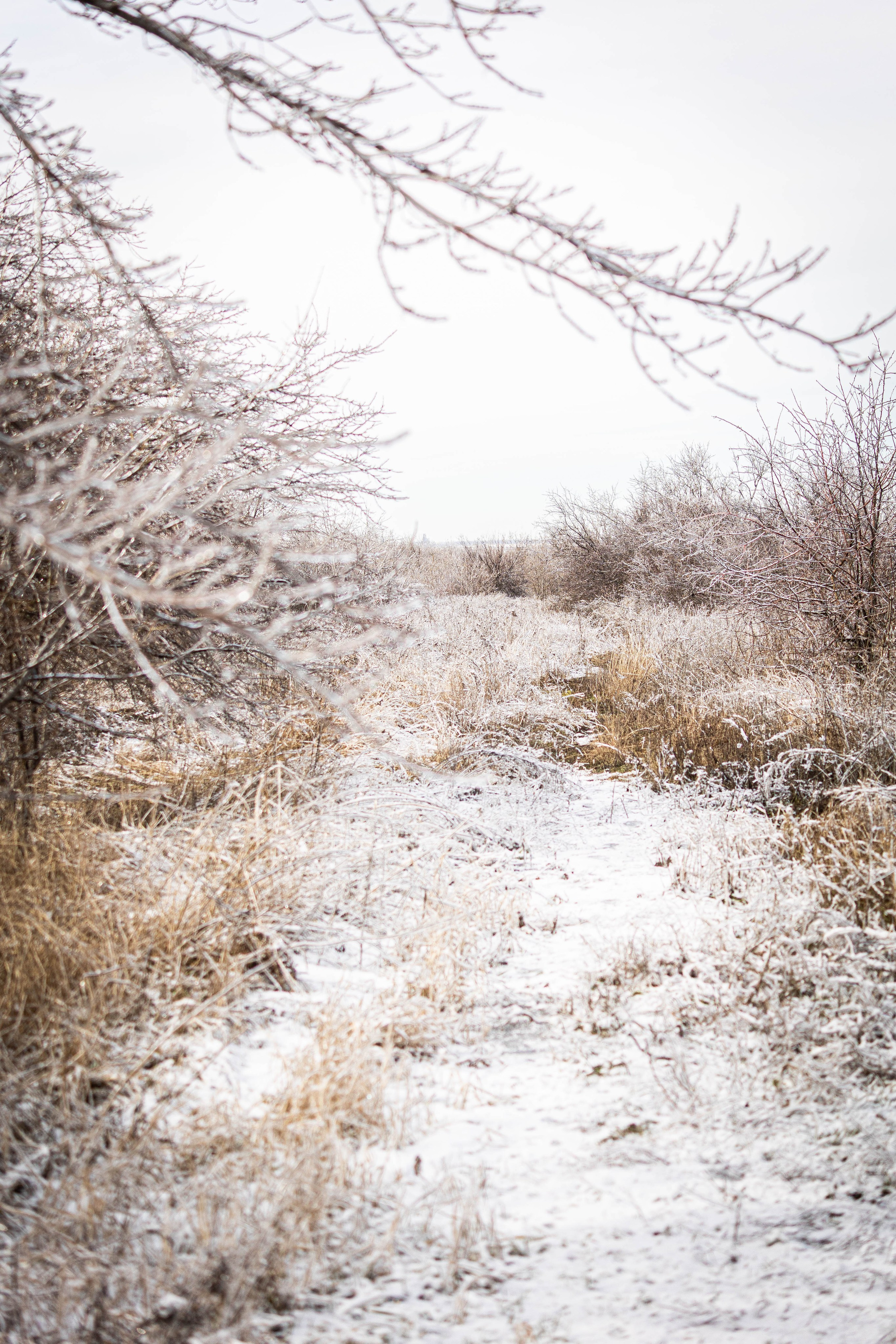 Дикий животный мир. Фотограф-АниМалист Анна Абрамова