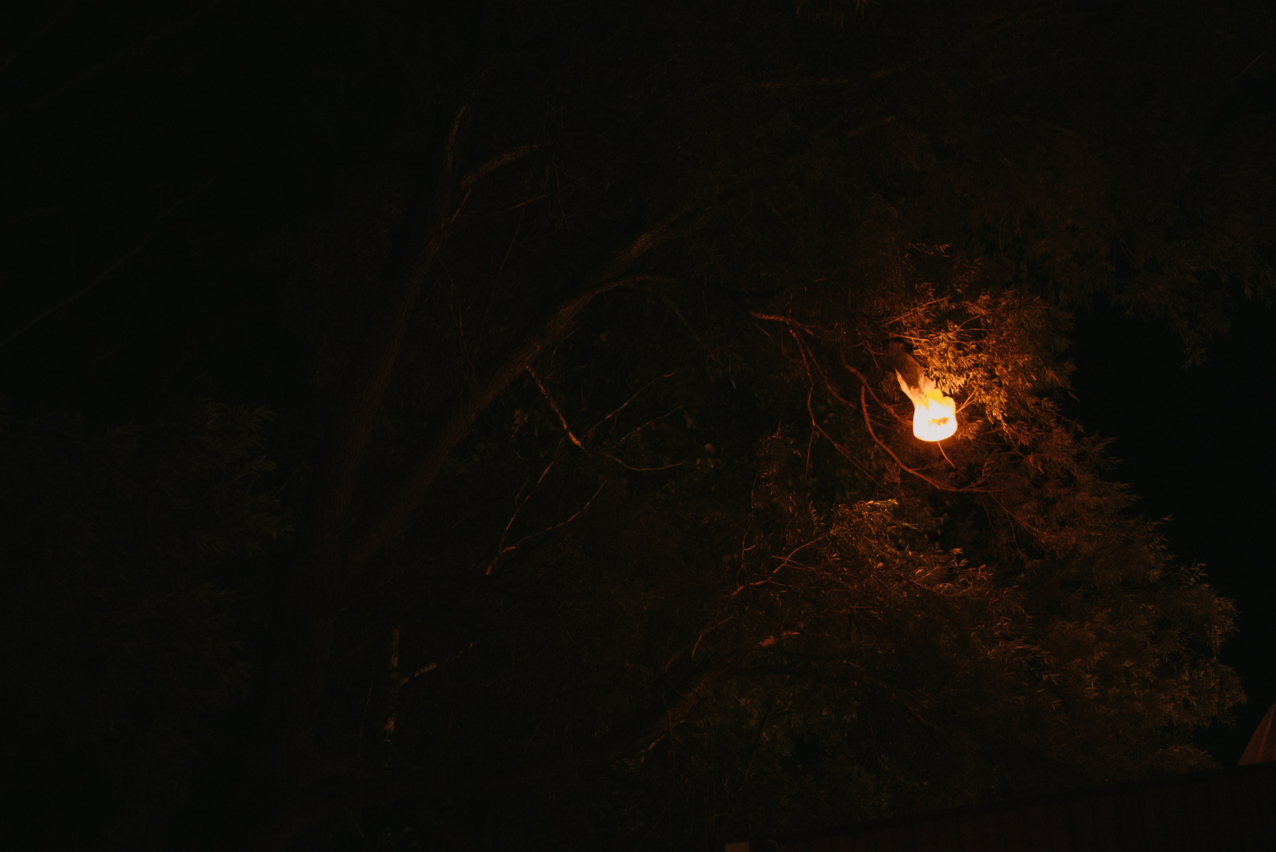 Тимур и Юлия. Свадебный фотограф Уфа Дарья Насырова