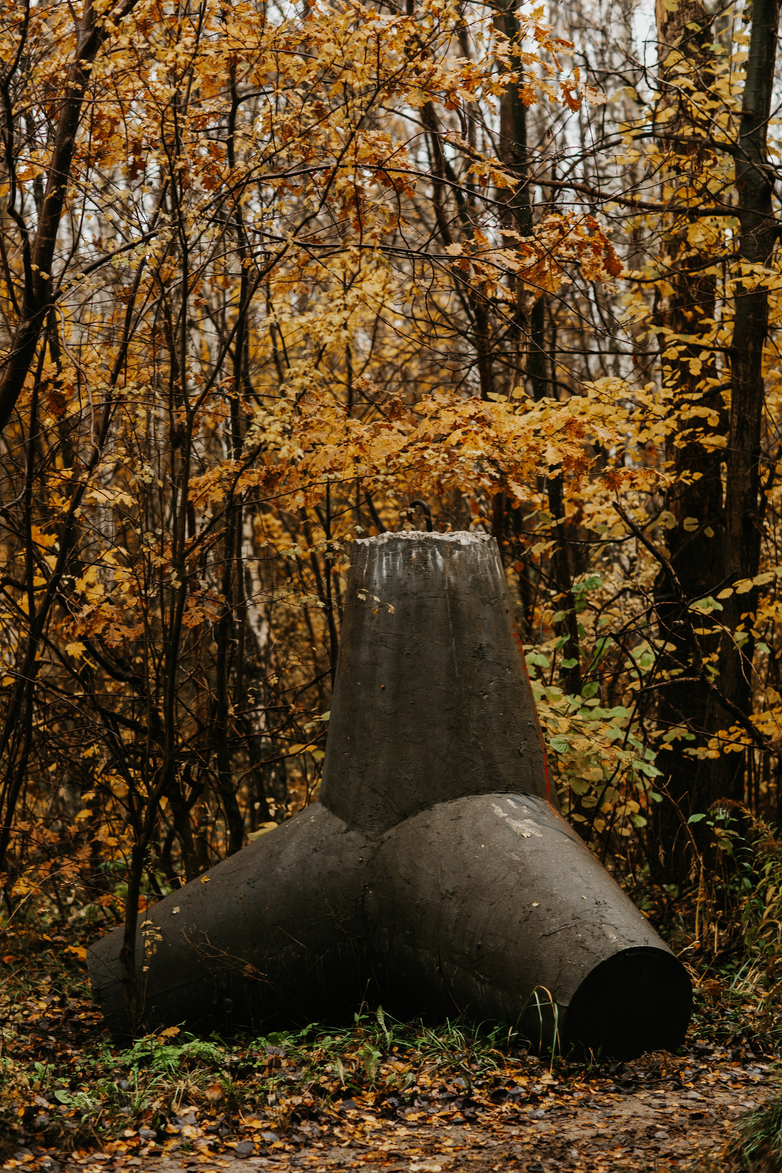 Балтийск/Калининград. Свадебный и семейный фотограф/видеограф в Краснодаре Наталья Осинская