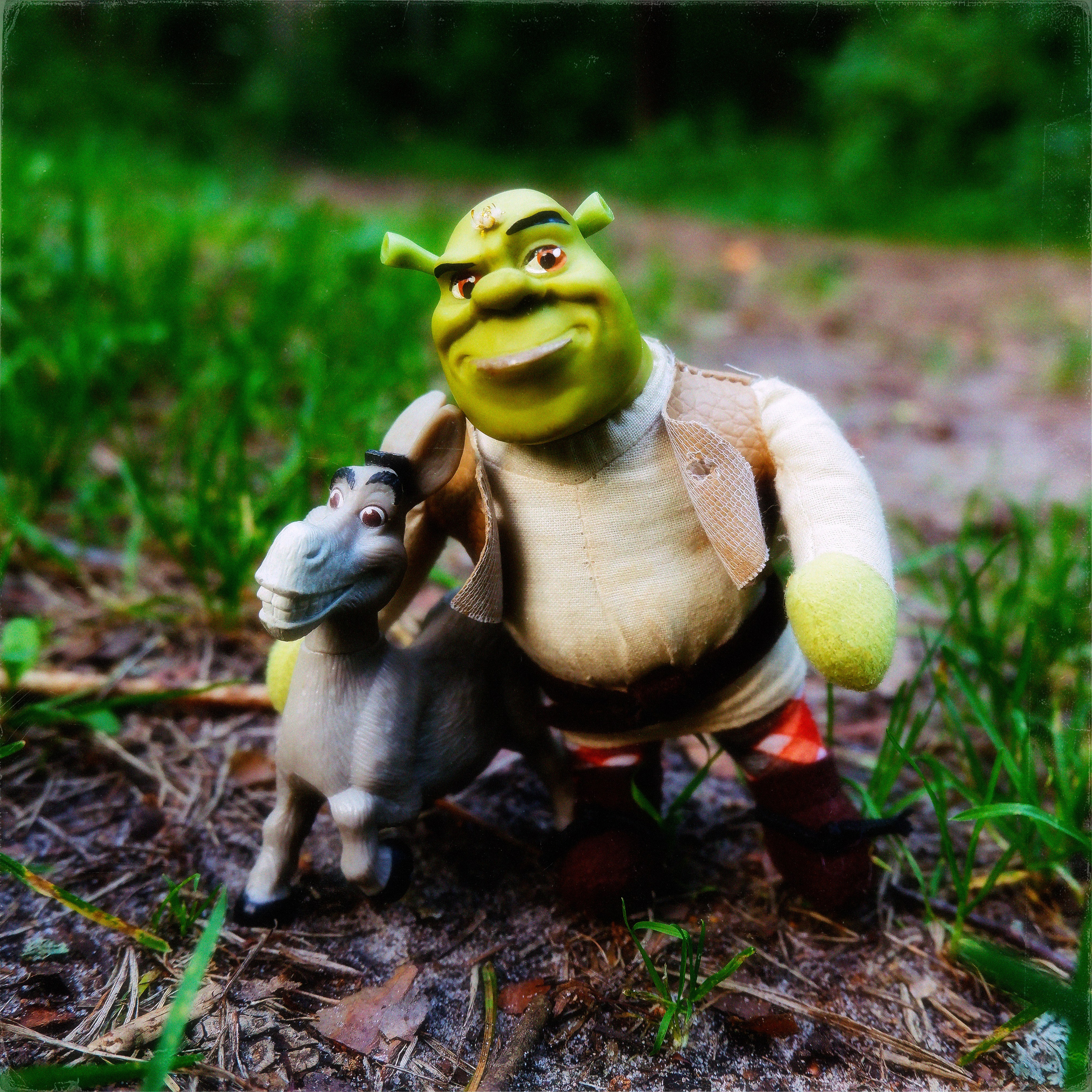 TOYS. ANNA — PHOTOGRAPHER