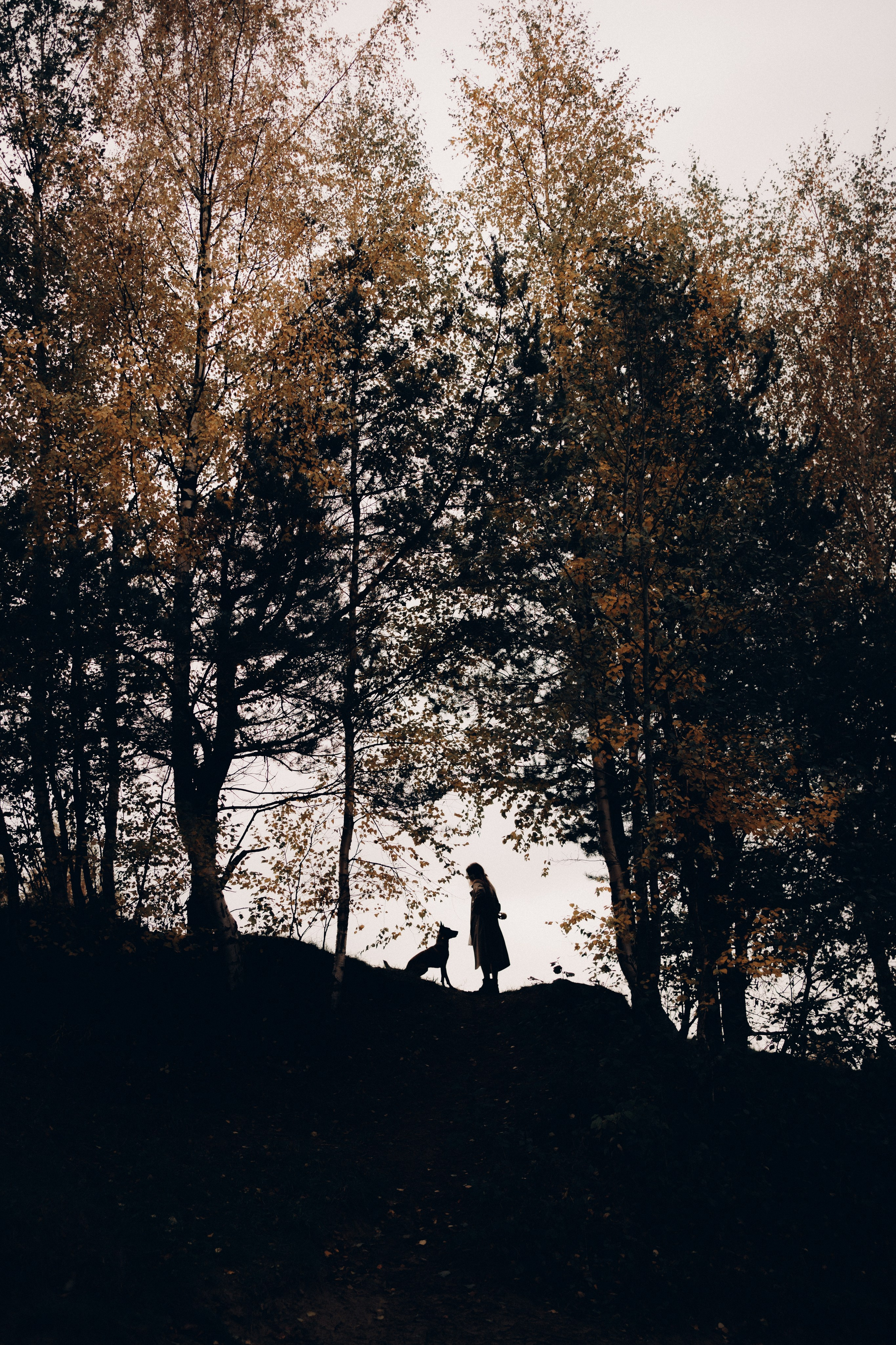 Вика и Хельс. Фотограф-анималист Анастасия Большакова