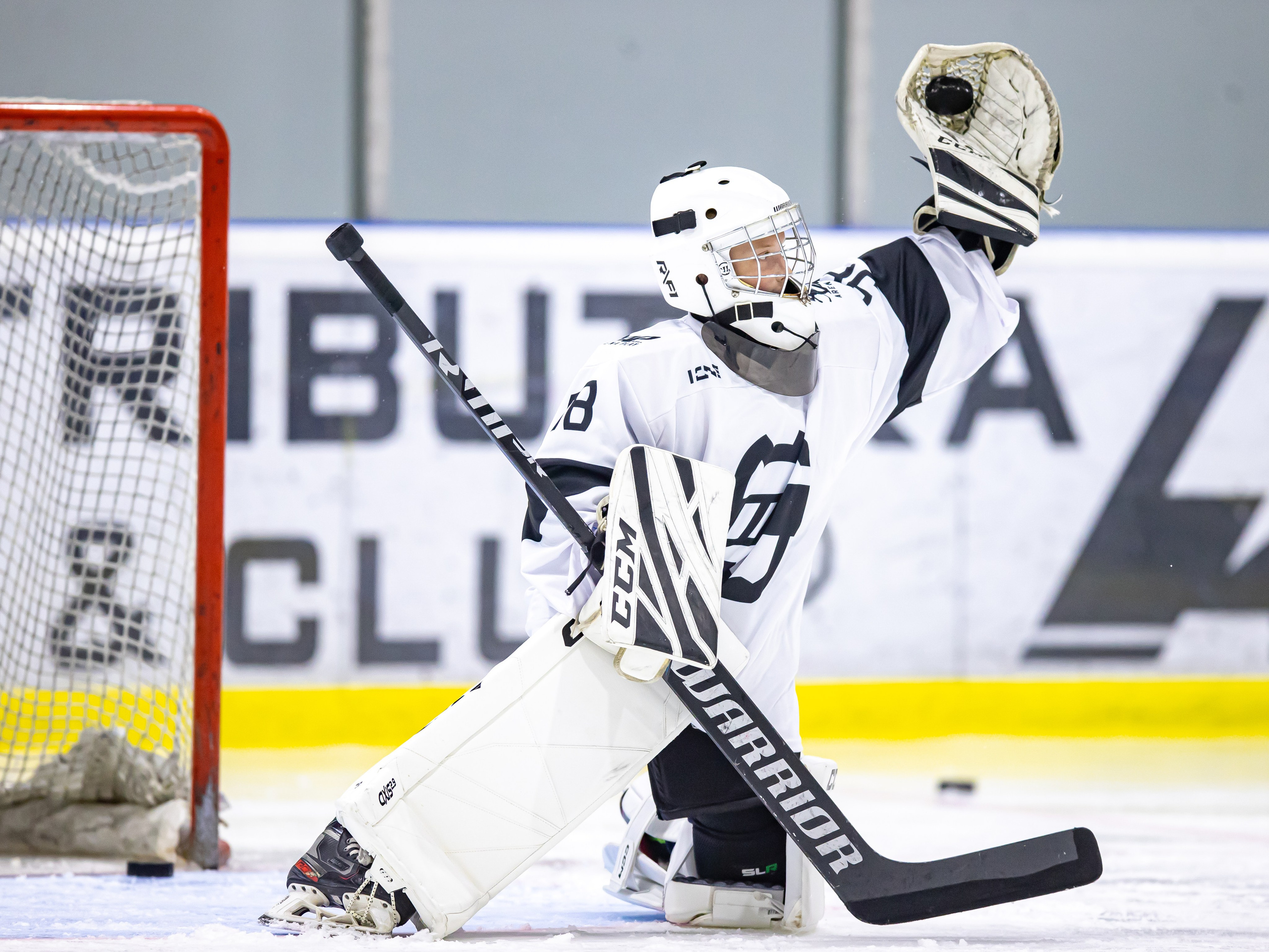Хоккей. Спортивный фотограф Серёжа Демченко