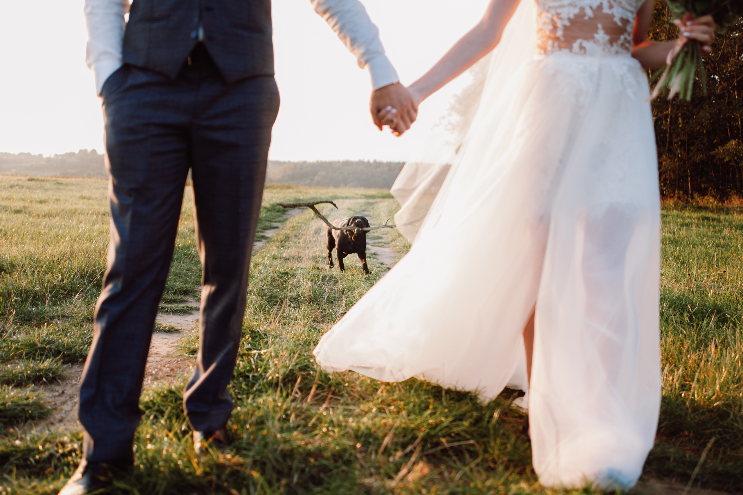 Анна и Константин. Минск. Фотограф Дмитрий Щекочихин