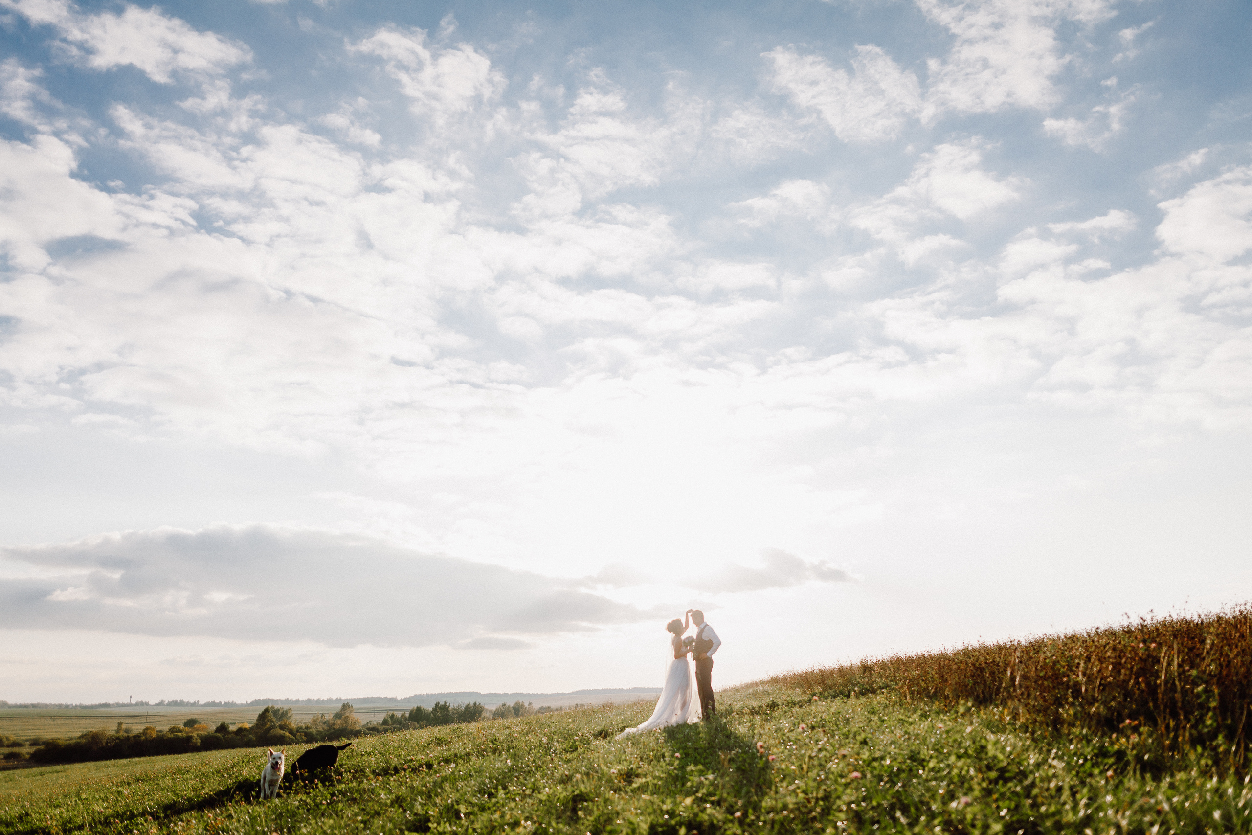 Анна и Константин. Минск. Фотограф Дмитрий Щекочихин