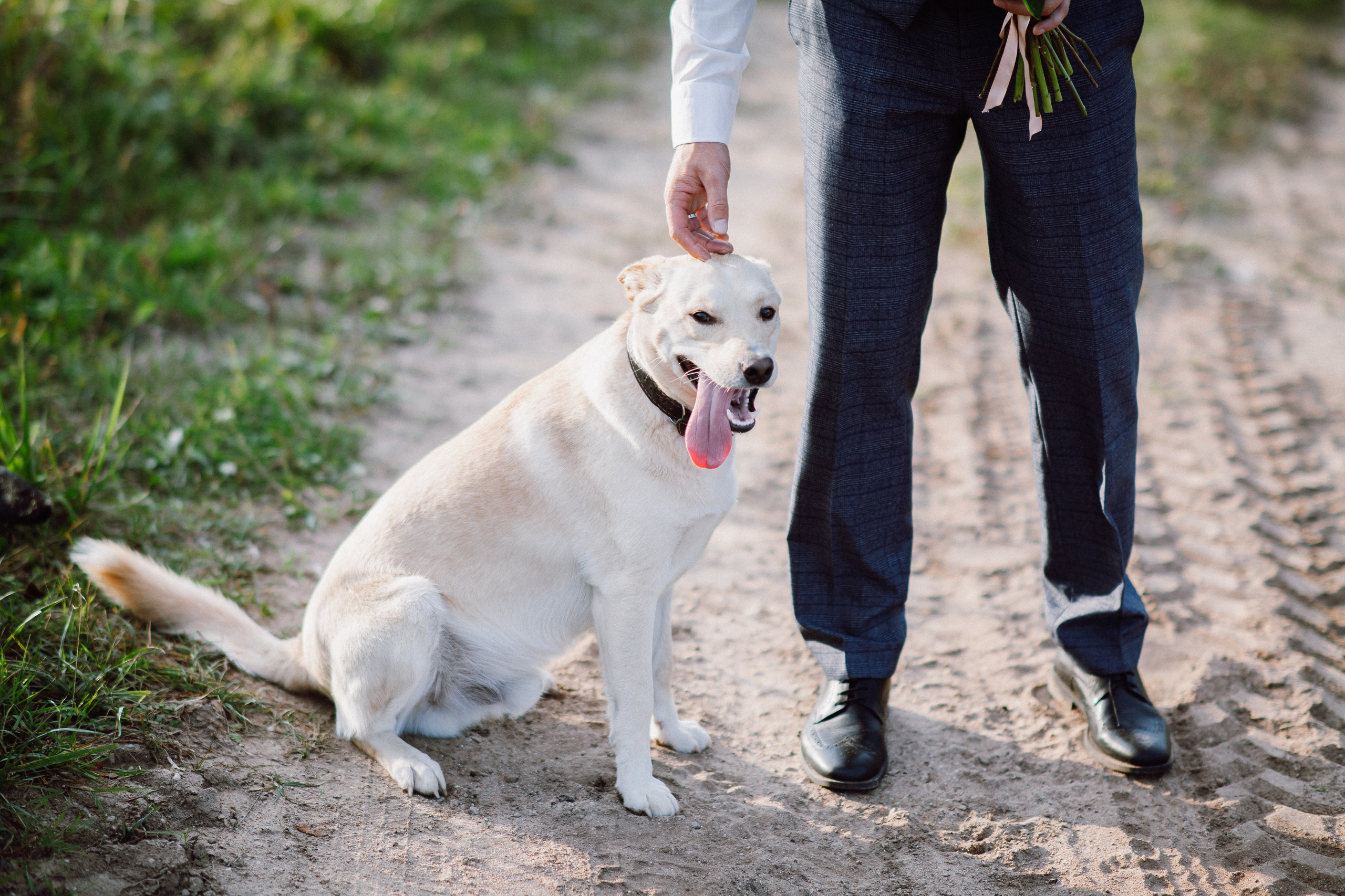 Анна и Константин. Минск. Фотограф Дмитрий Щекочихин