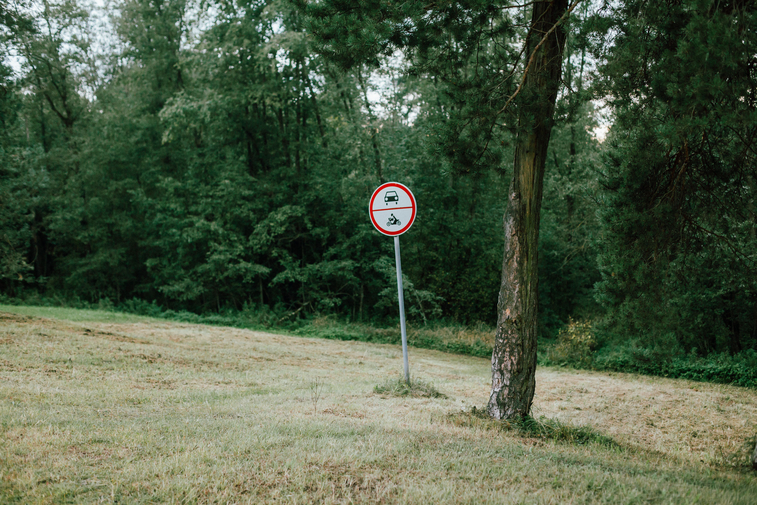 Катя и Сергей. Вильнюс. Фотограф Дмитрий Щекочихин