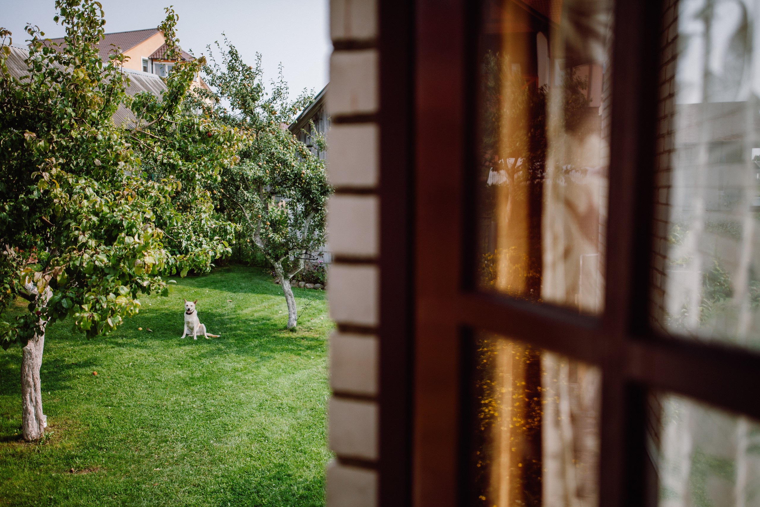 Анна и Константин. Минск. Фотограф Дмитрий Щекочихин