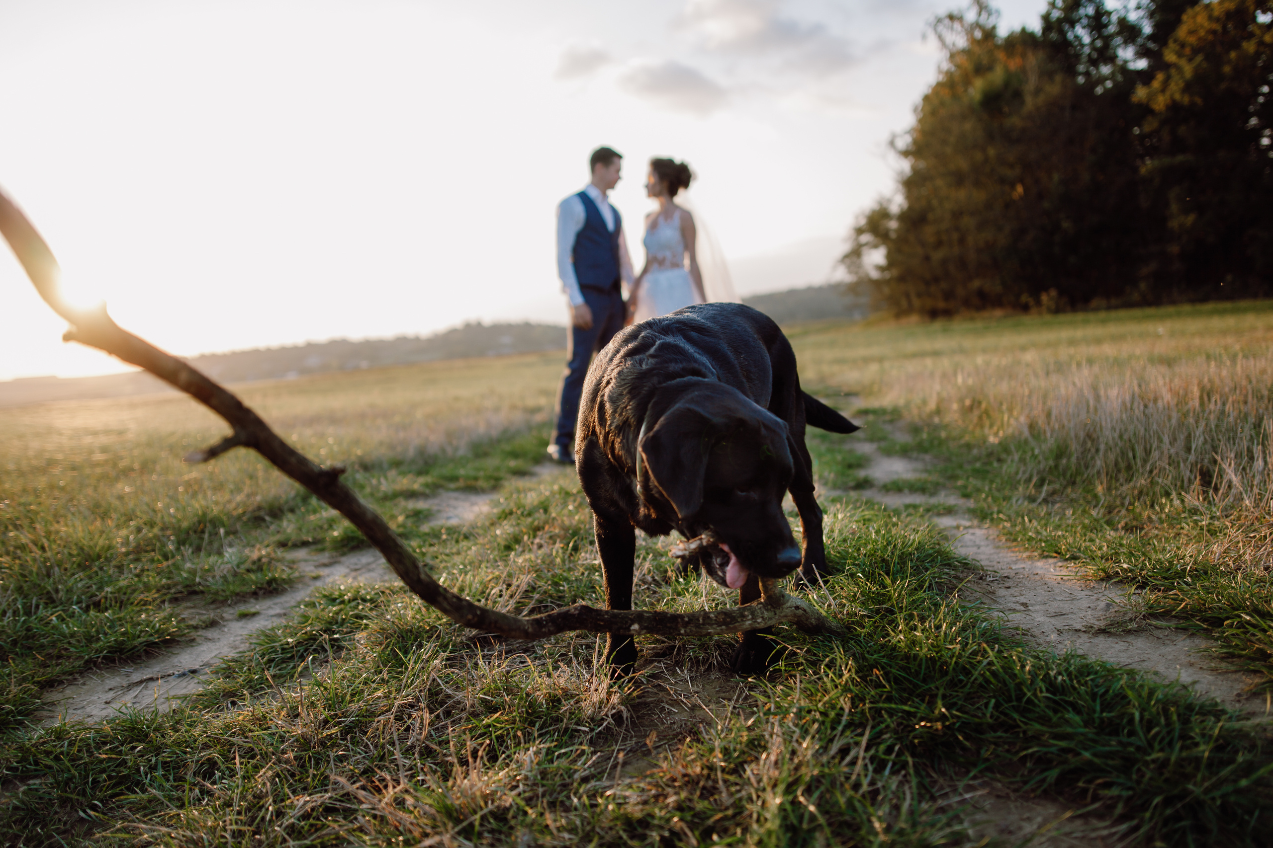 Анна и Константин. Минск. Фотограф Дмитрий Щекочихин
