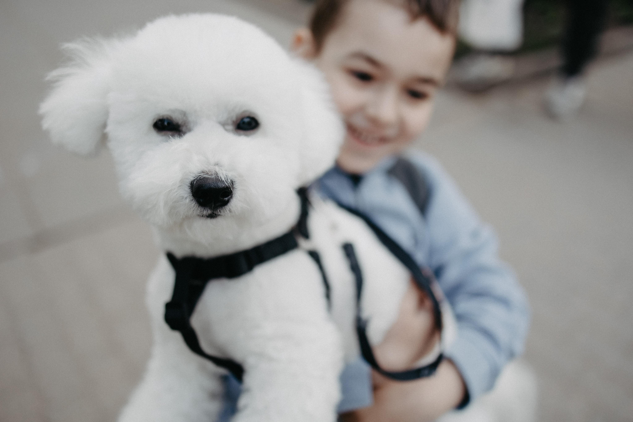 СШ Минск 2023. Свадебный фотограф Роман Медведев , Минск, Беларусь