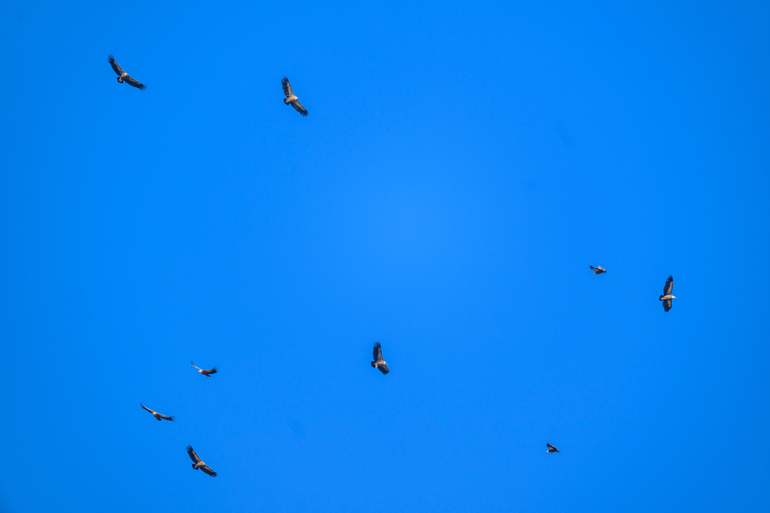 Дагестан. Ноябрь 2025. Фотограф Сергей Пупонин