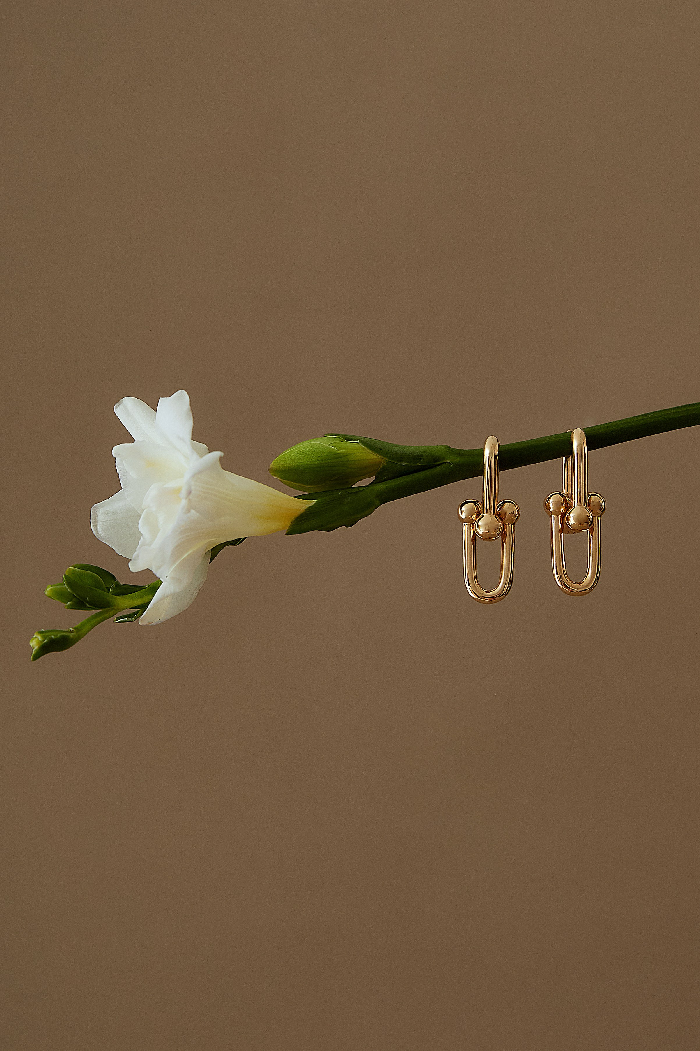 Ювелирные украшения (предметная). Фотограф