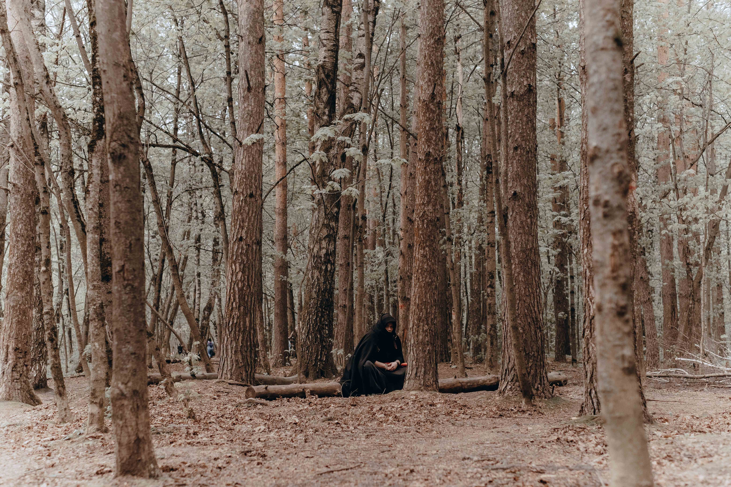 Revolution: Draubergbrand. Фотограф Аннё| Москва