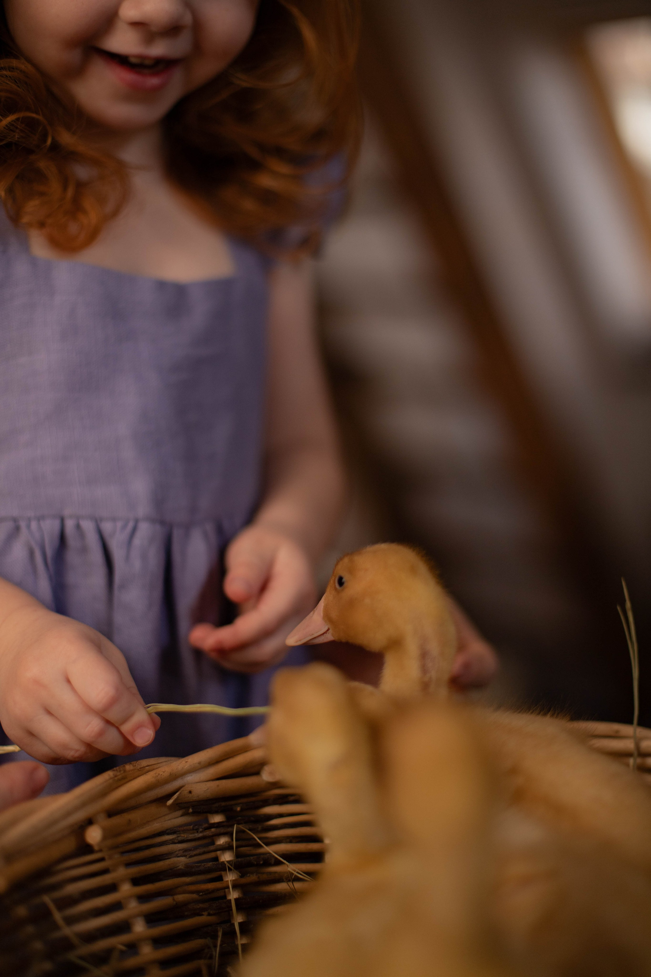 Малышка Лия и утята. Семейный фотограф Москва Ирина Малышева