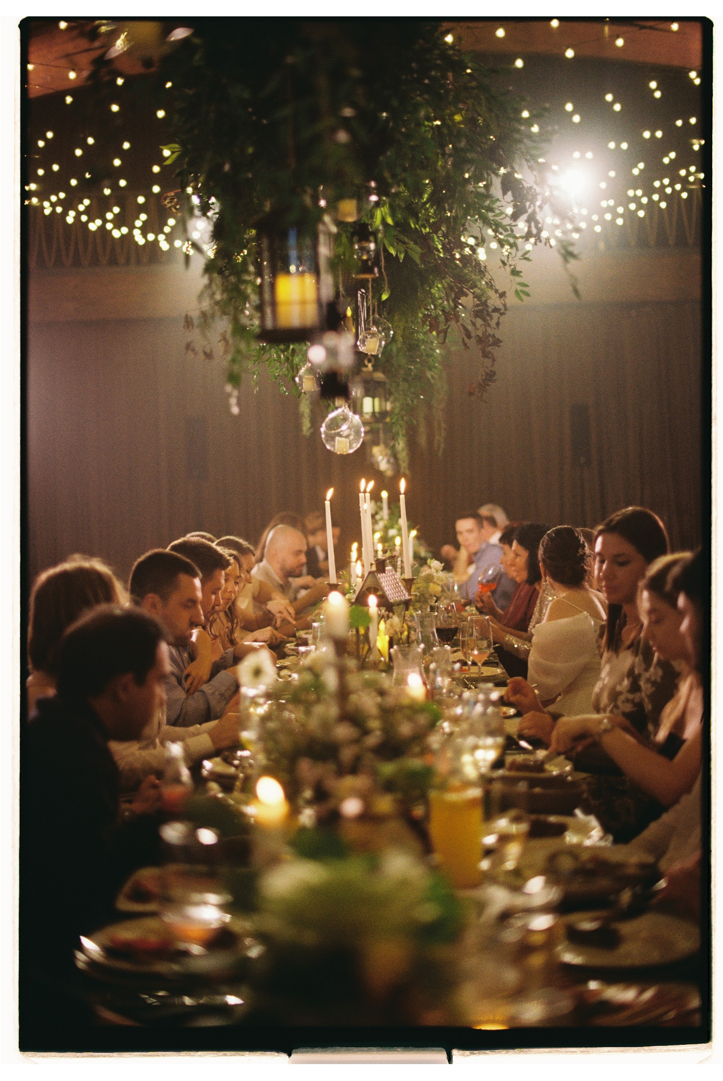 Pine River Иван и Екатерина. Афина Ефимова. Свадебный фотограф Москва