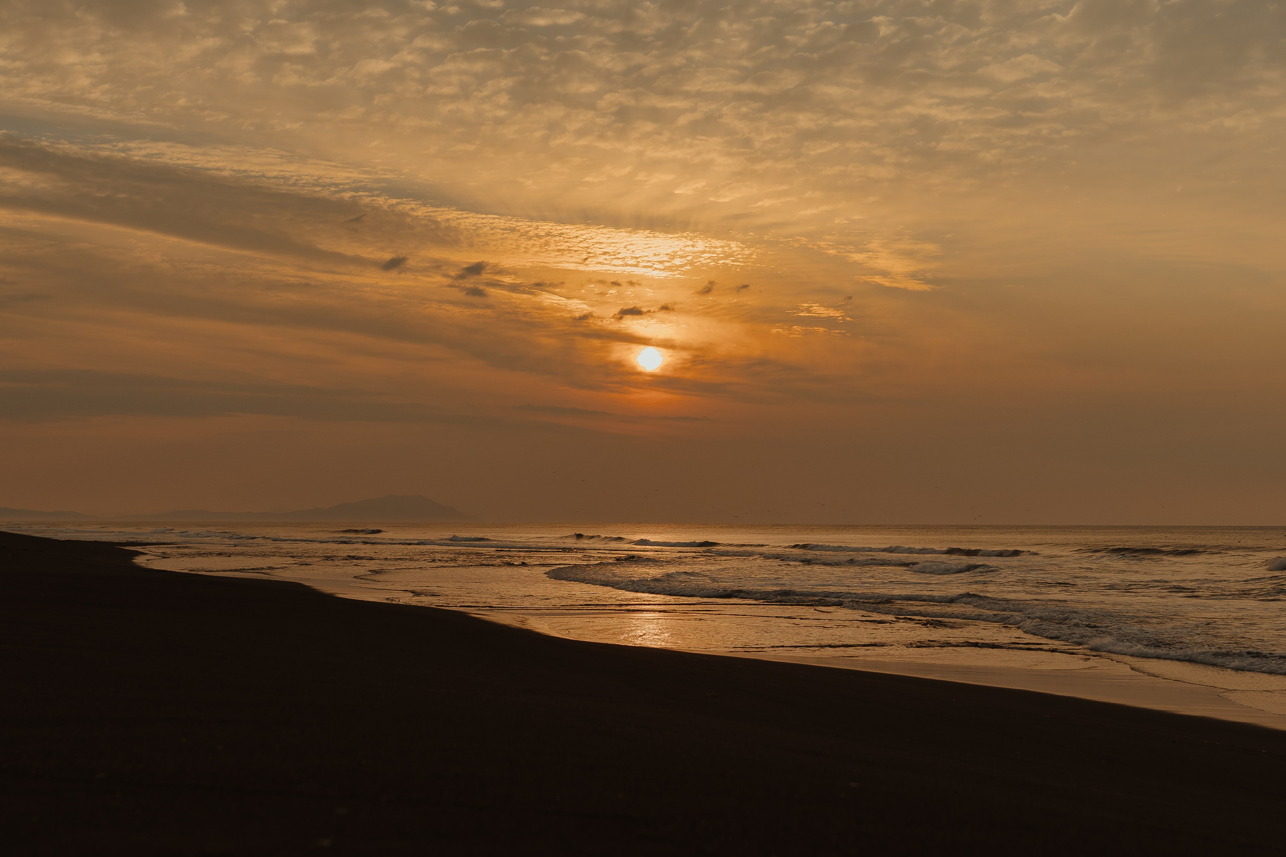 Природа. Свадебный и love story фотограф в Петропавловске-Камчатском Алексей Глебов
