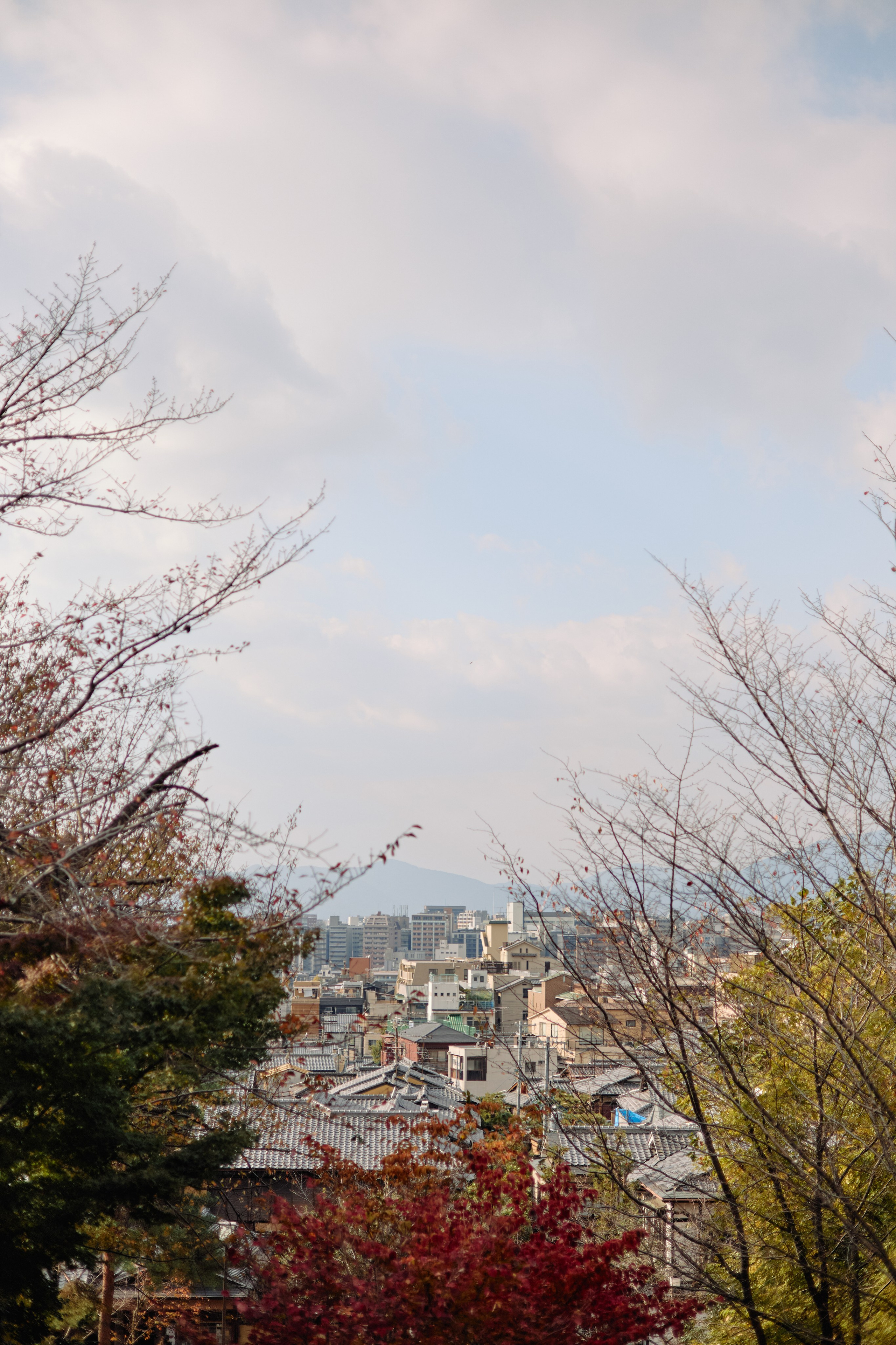 Япония. Профессиональный Фотограф во Владимире, в Москве и в Суздале — Полина Романычева